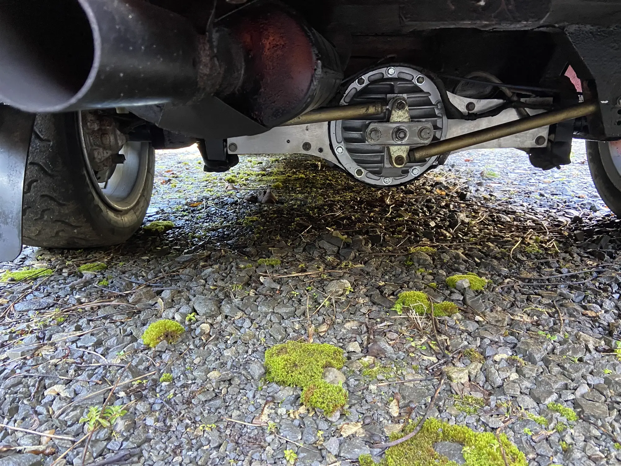 1979 Ford Escort Mk2 Rally Car-For Sale