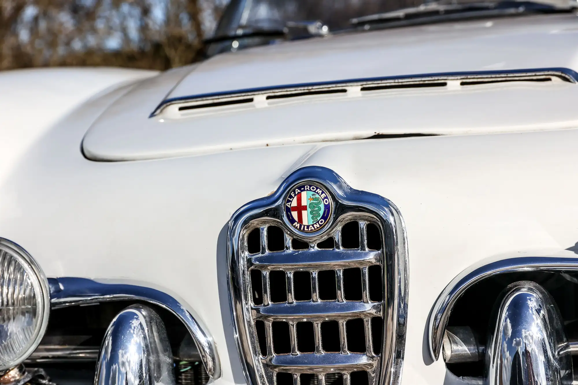 1963 Alfa Romeo Giulia Spider 1600 (Tipo 101.23)-Sold