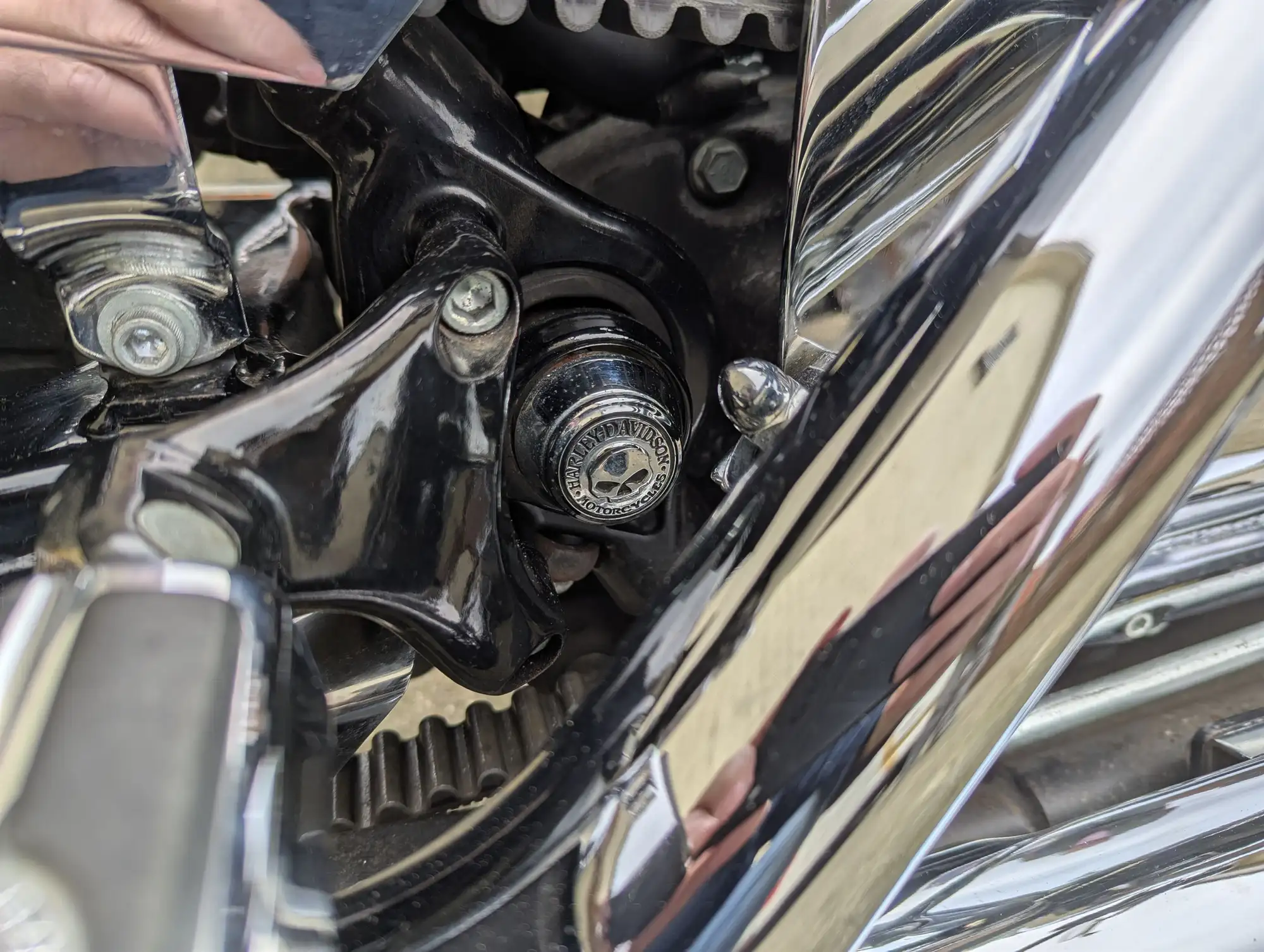 2006 Harley Davidson Sportster XL1200 Low 1200cc-Sold