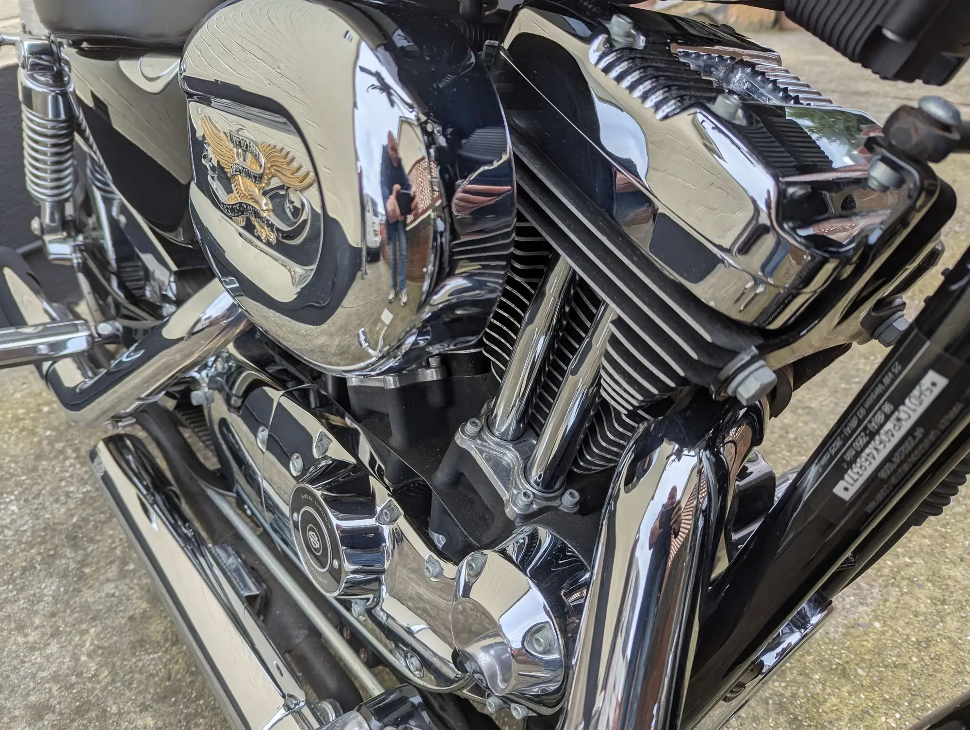 2006 Harley Davidson Sportster XL1200 Low 1200cc-Sold