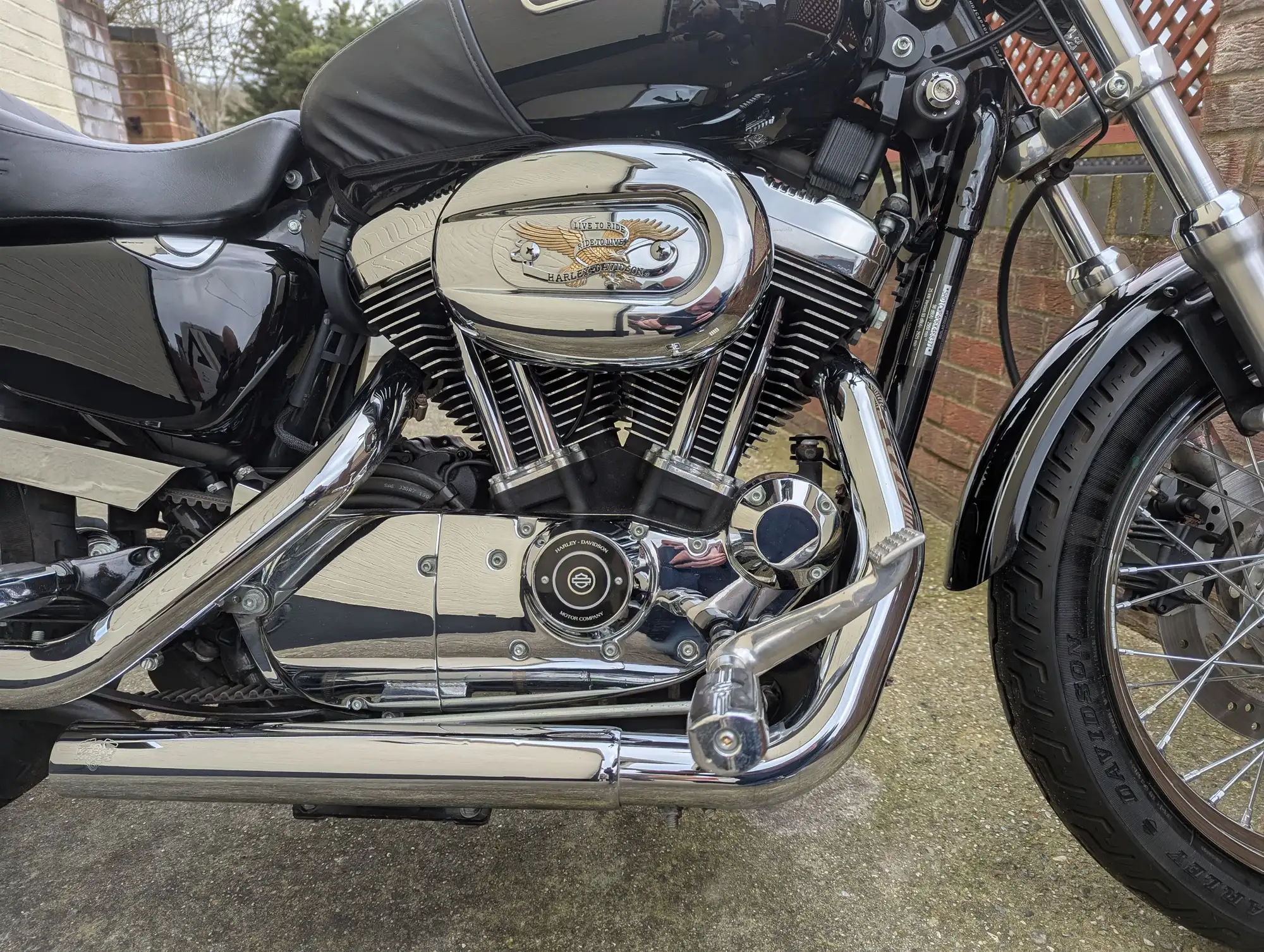 2006 Harley Davidson Sportster XL1200 Low 1200cc-Sold