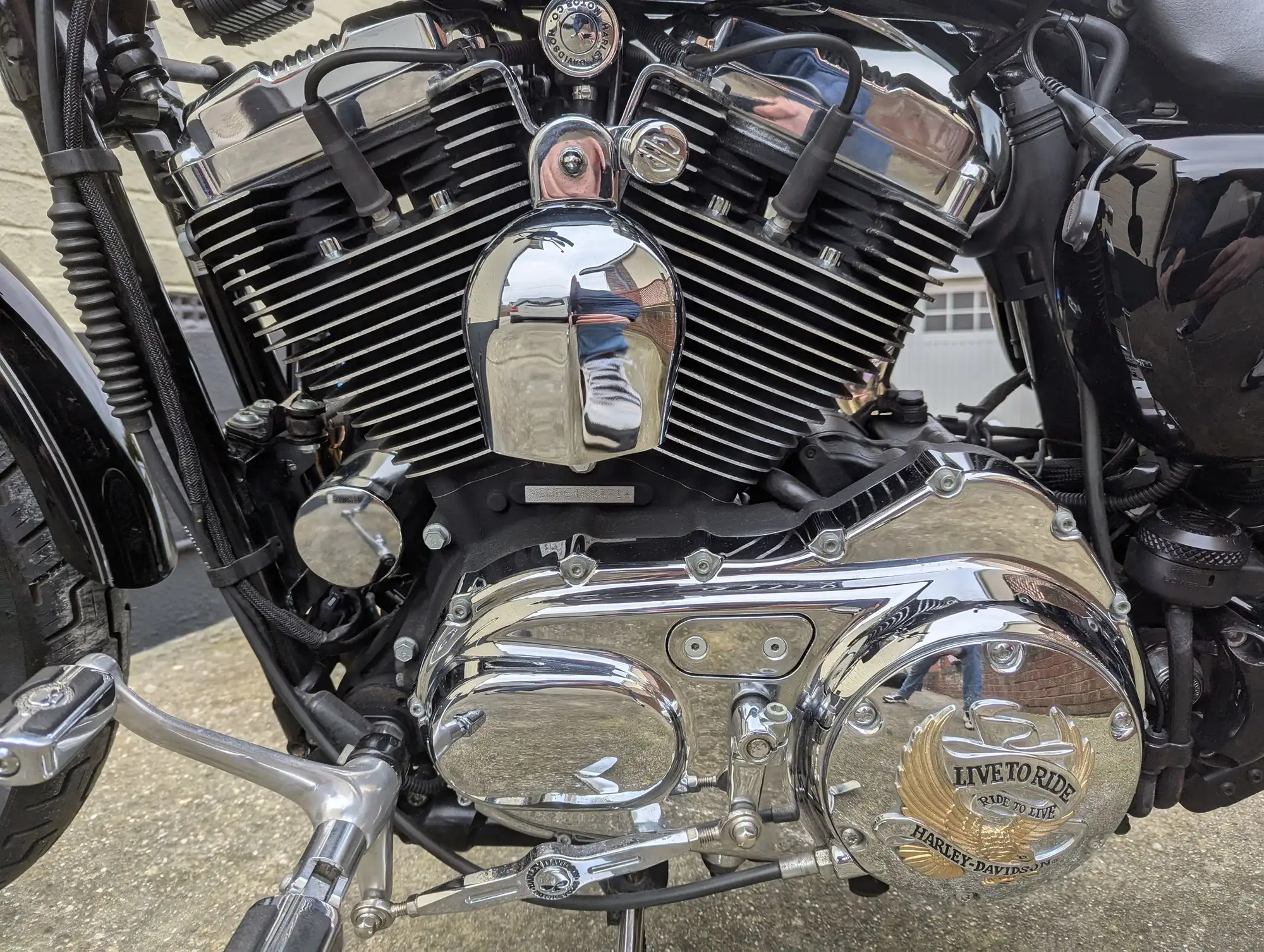 2006 Harley Davidson Sportster XL1200 Low 1200cc-Sold