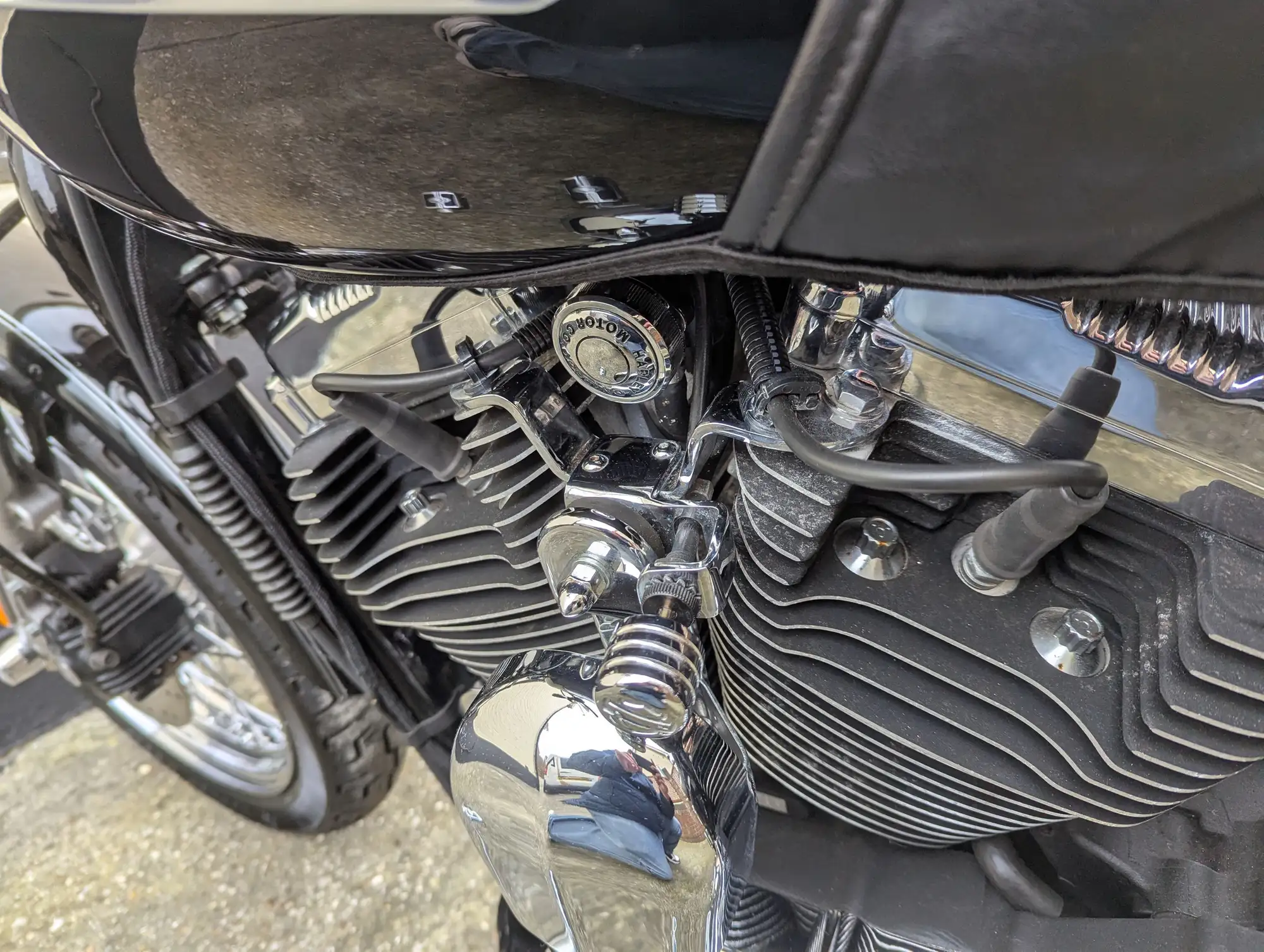 2006 Harley Davidson Sportster XL1200 Low 1200cc-Sold