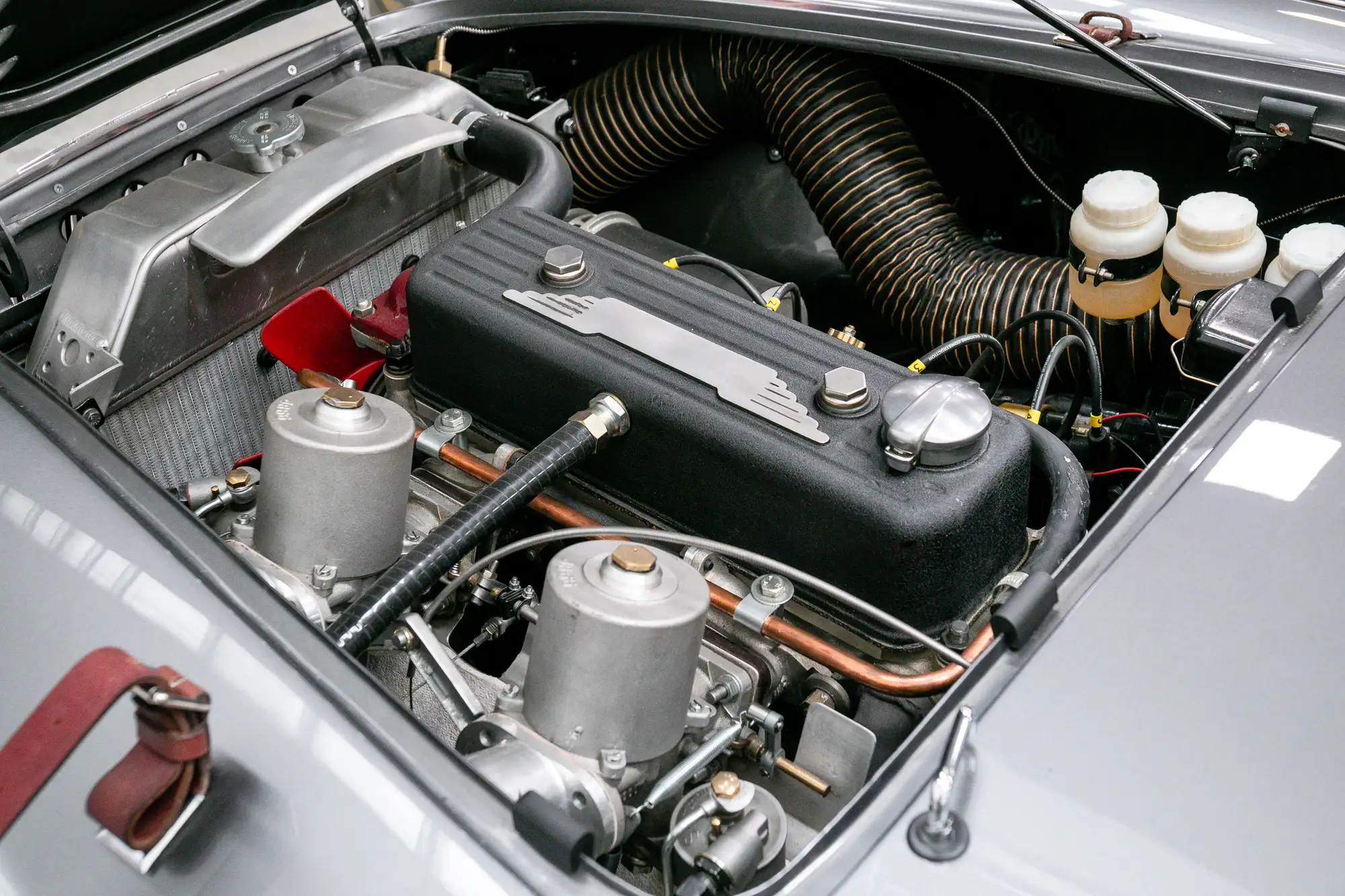 1955 Austin Healey 100/4 BN2 'Cape Works Special' -For Sale