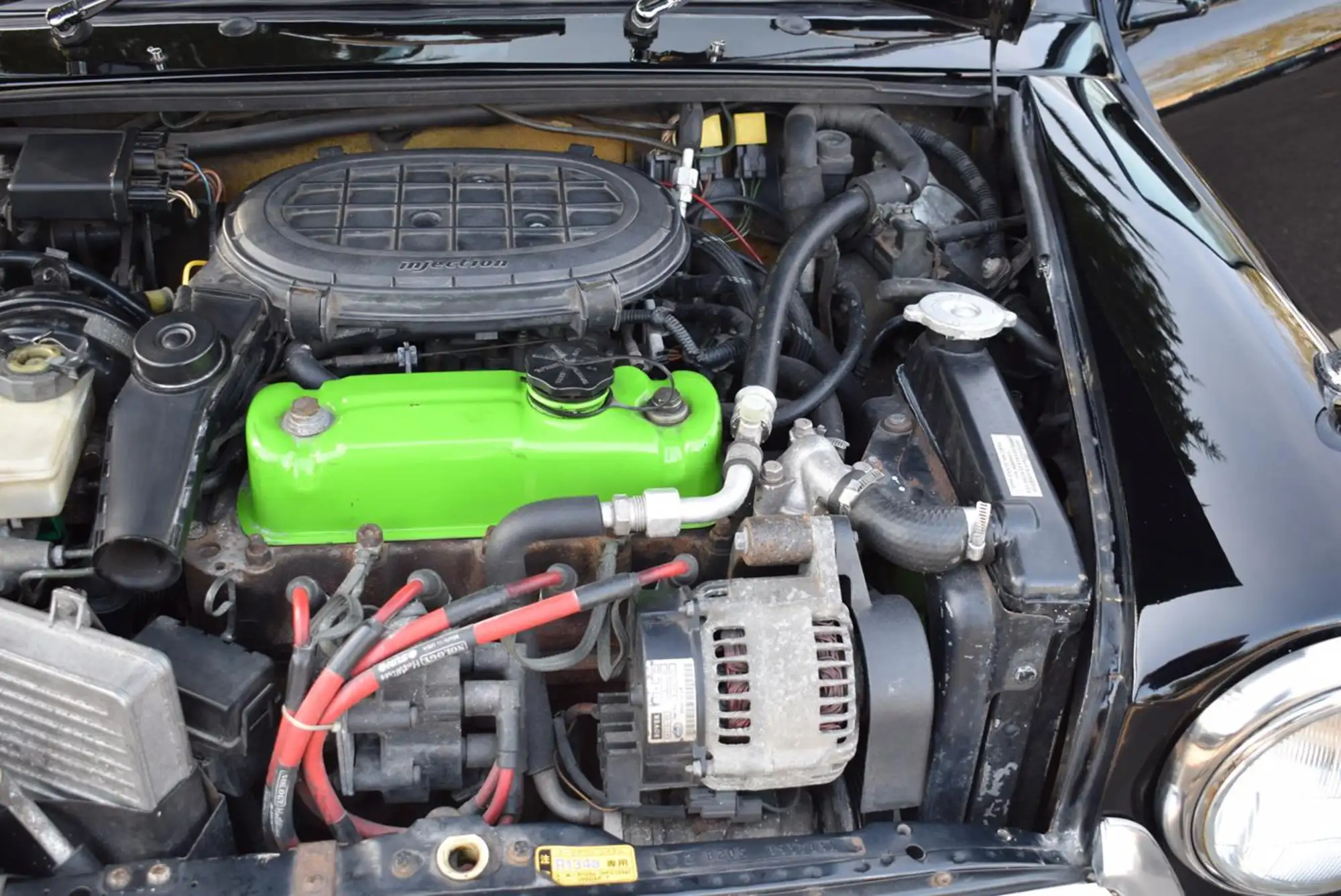 1998 Rover Mini Paul Smith Edition-For Sale