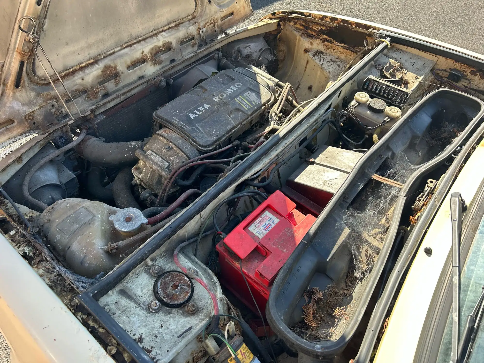 1982 Alfa Romeo Alfasud Gold Cloverleaf 1.5 -Sold