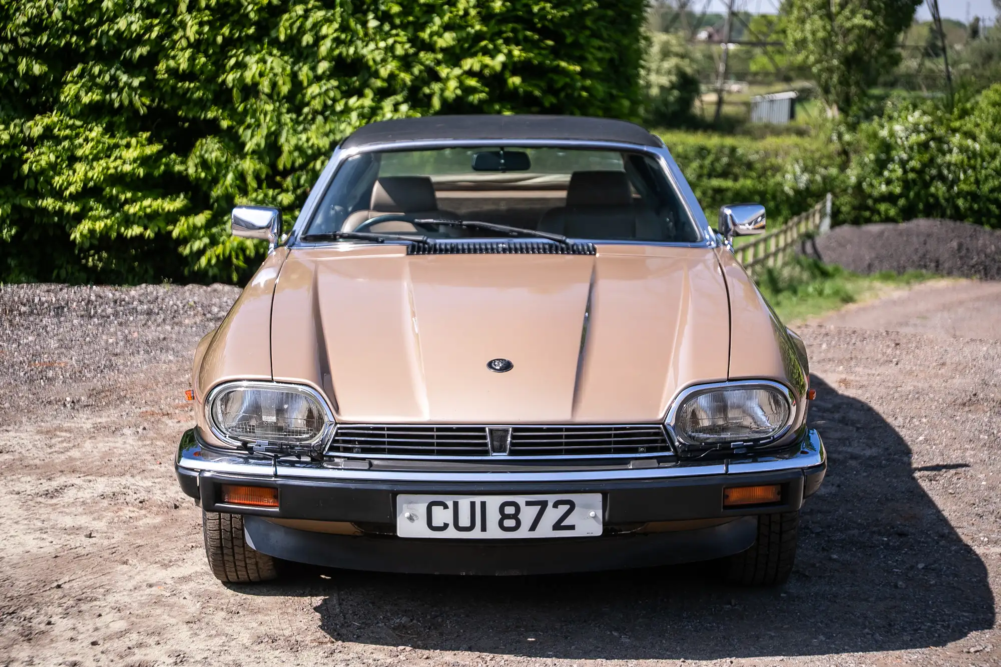 1985 Jaguar XJS-C-For Sale