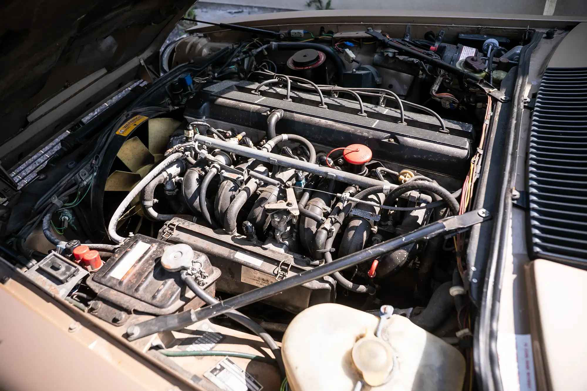 1985 Jaguar XJS-C-For Sale