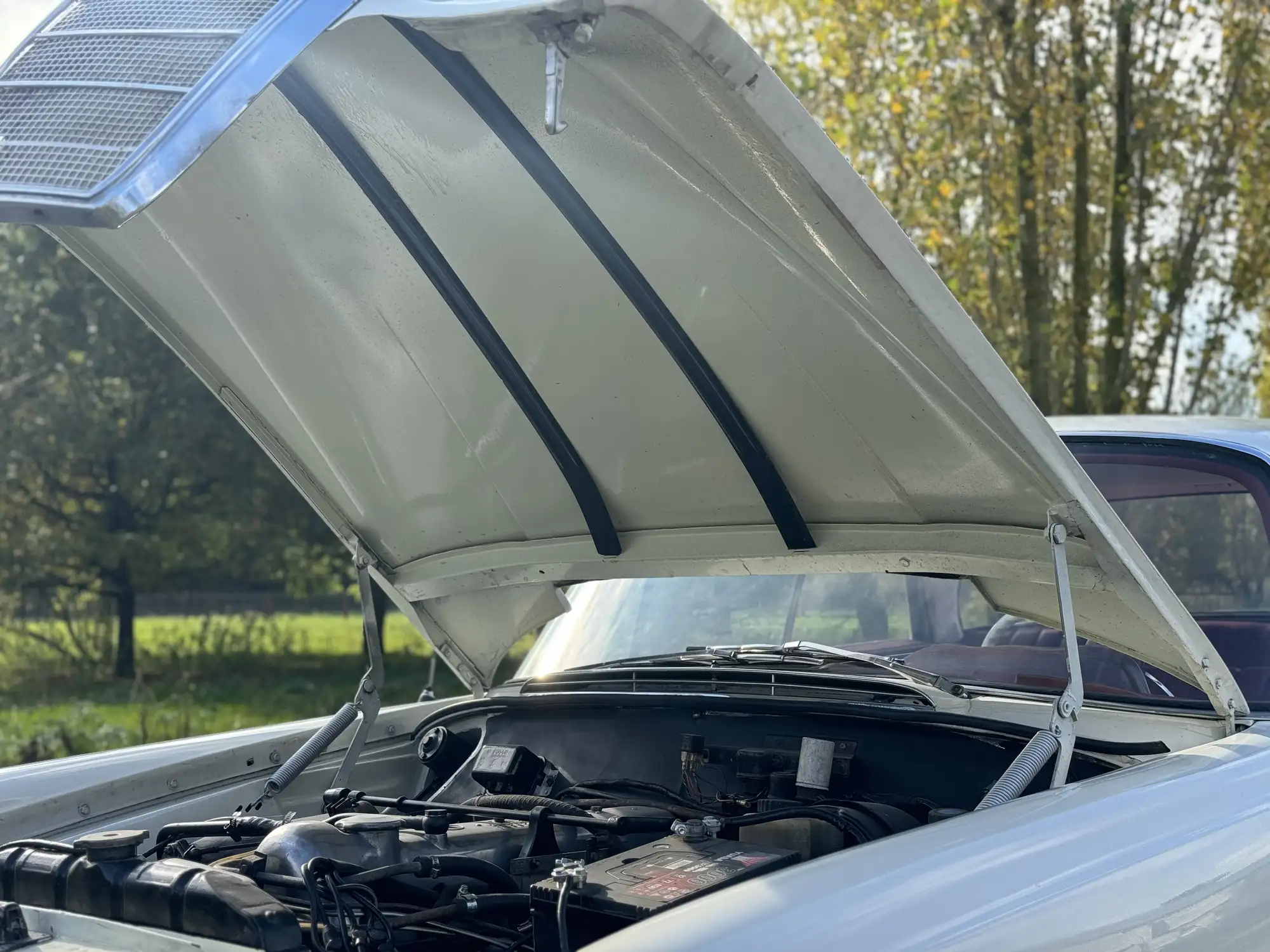 1963 Mercedes-Benz 220SE W111-For Sale