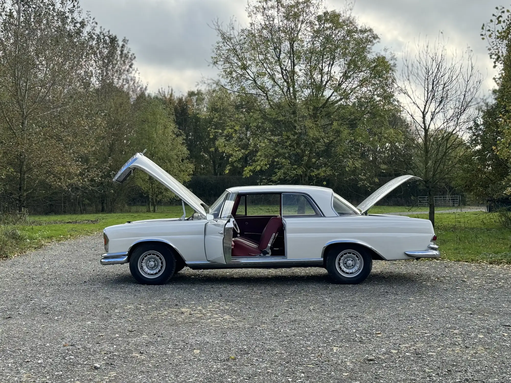 1963 Mercedes-Benz 220SE W111-For Sale
