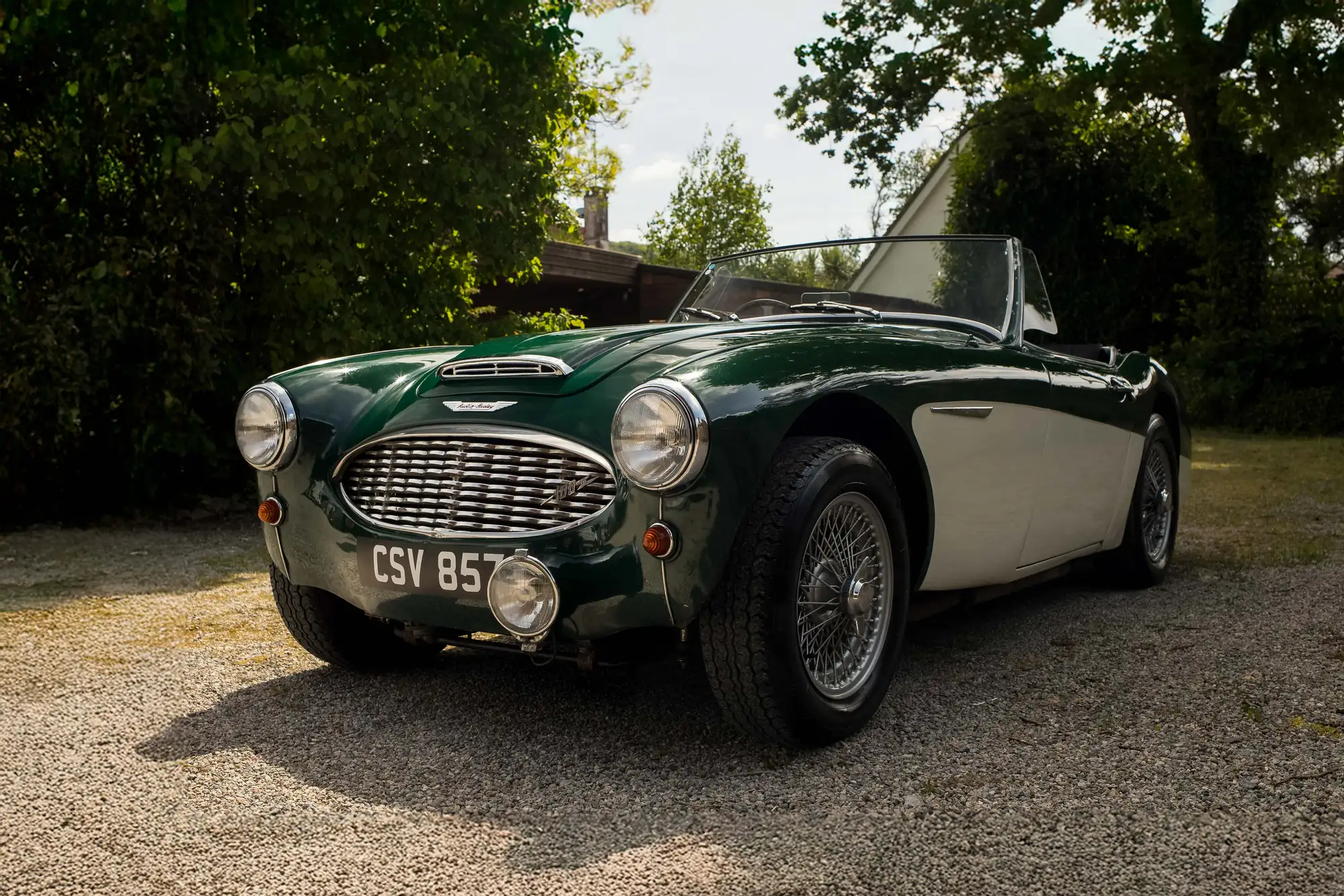 1956 Austin Healey 100/6-Sold