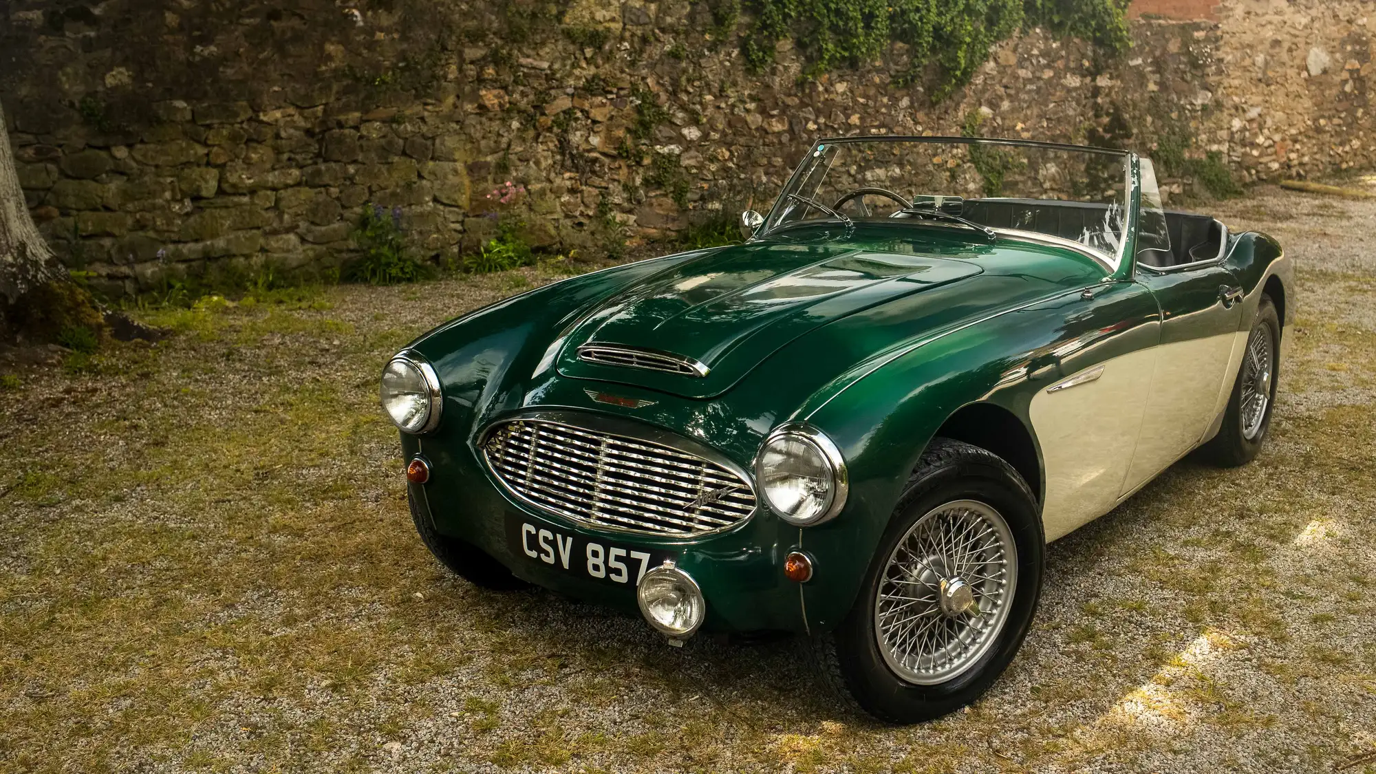 1956 Austin Healey 100/6-Sold