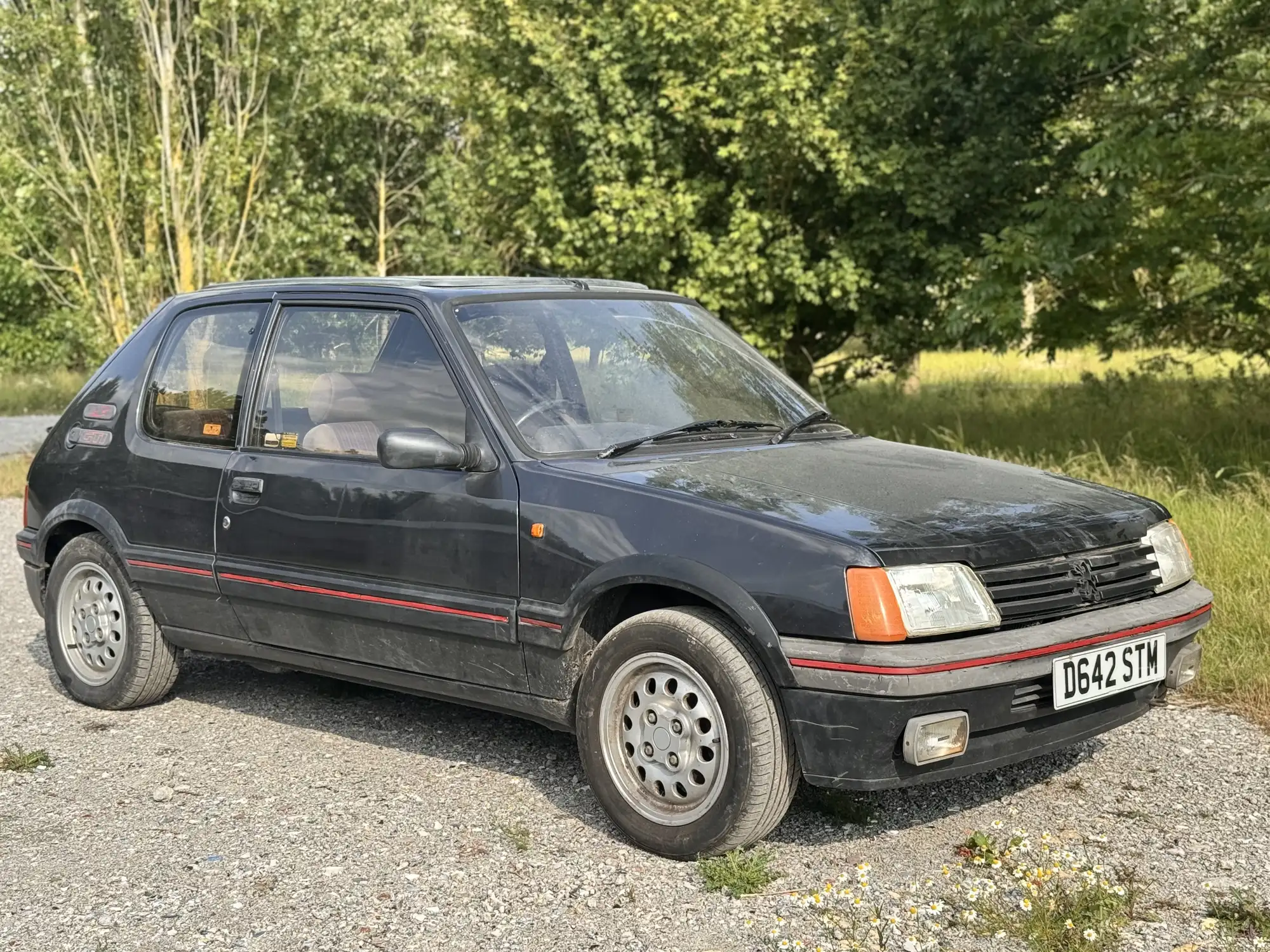 1987 Peugeot 205 GTi 1.6-For Sale