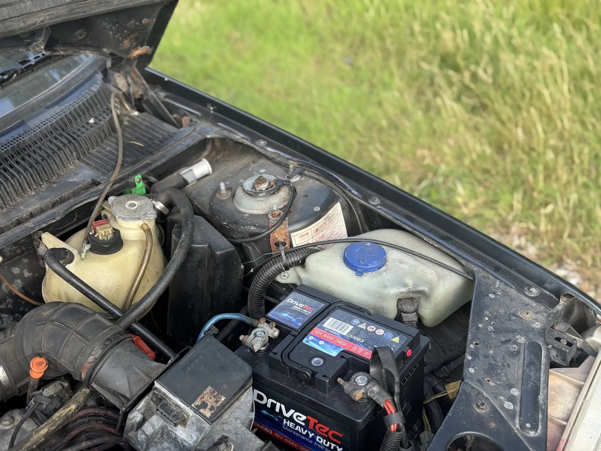 1987 Peugeot 205 GTi 1.6-For Sale