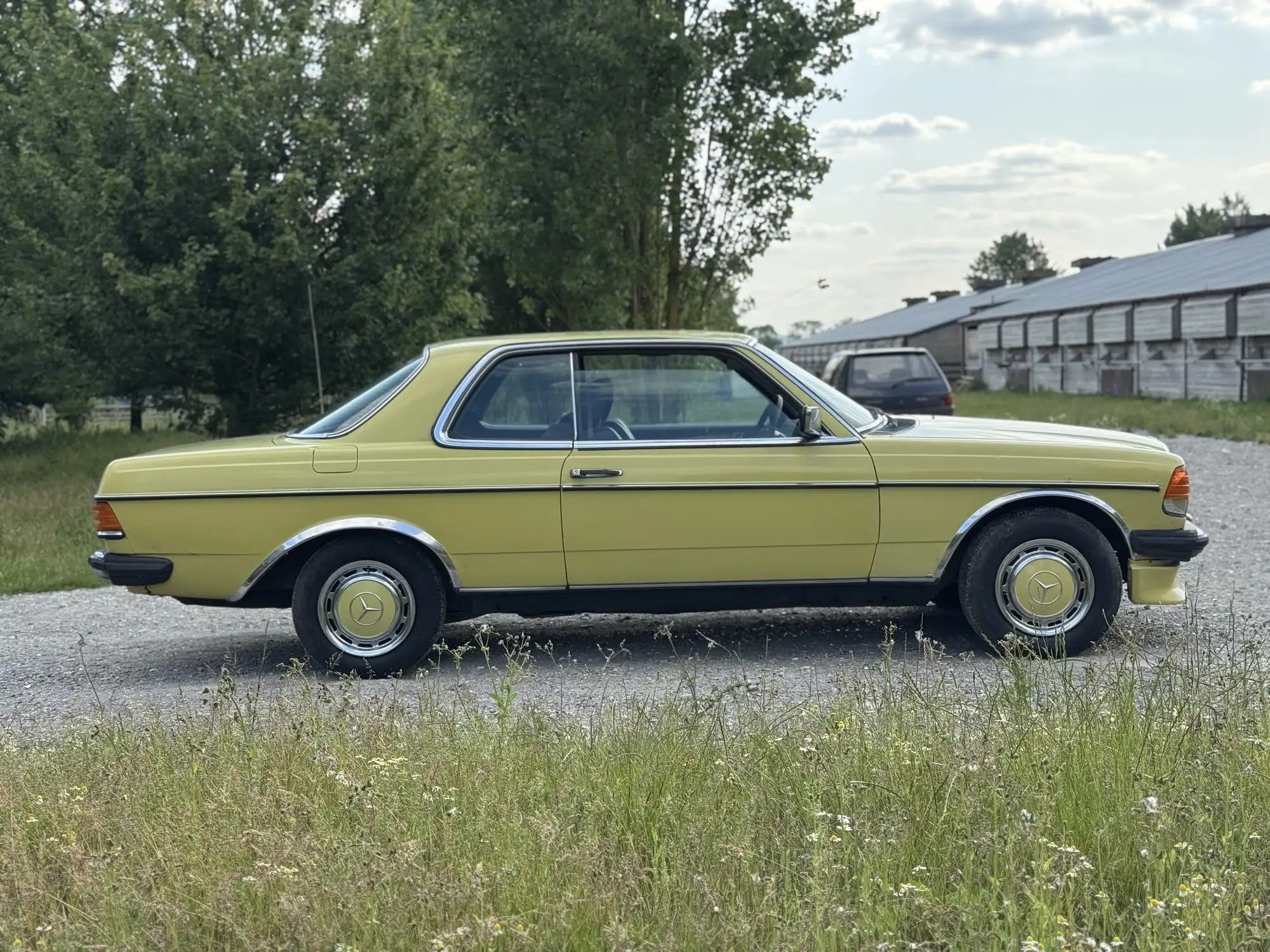 1978 Mercedes W123 230 Coupé-For Sale