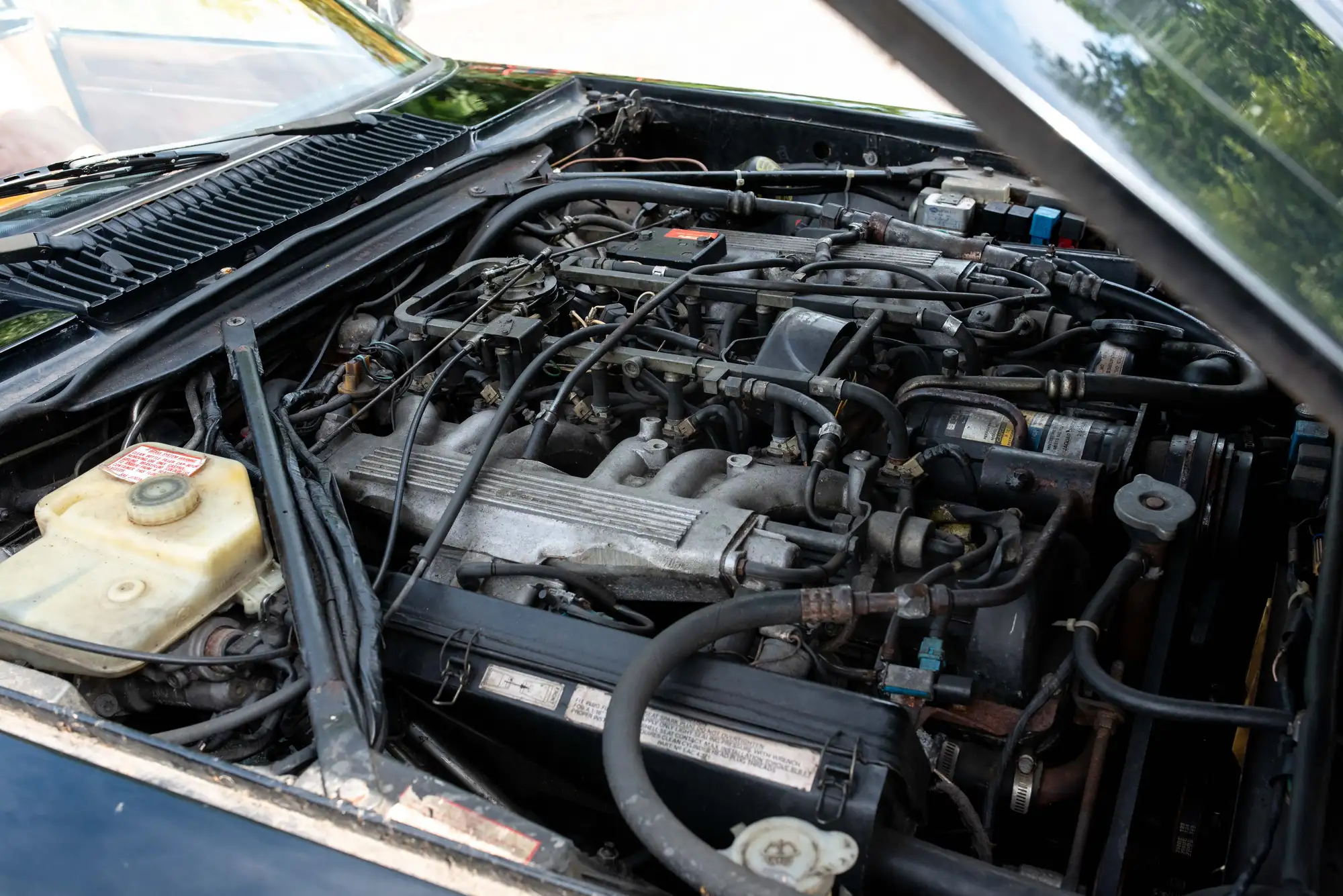 1988 Jaguar XJS V12 Convertible-Sold