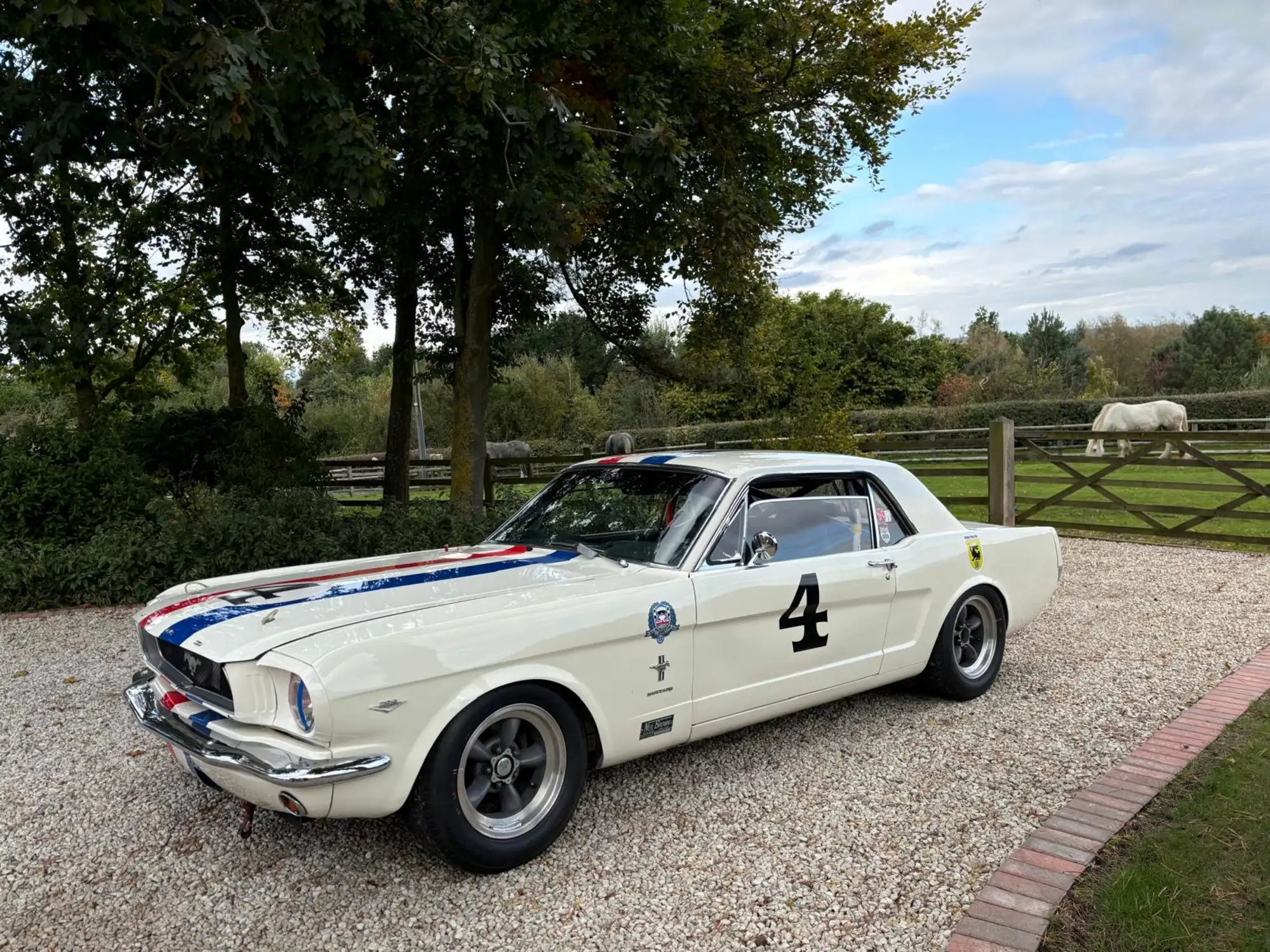 1965 Ford Mustang FIA -For Sale