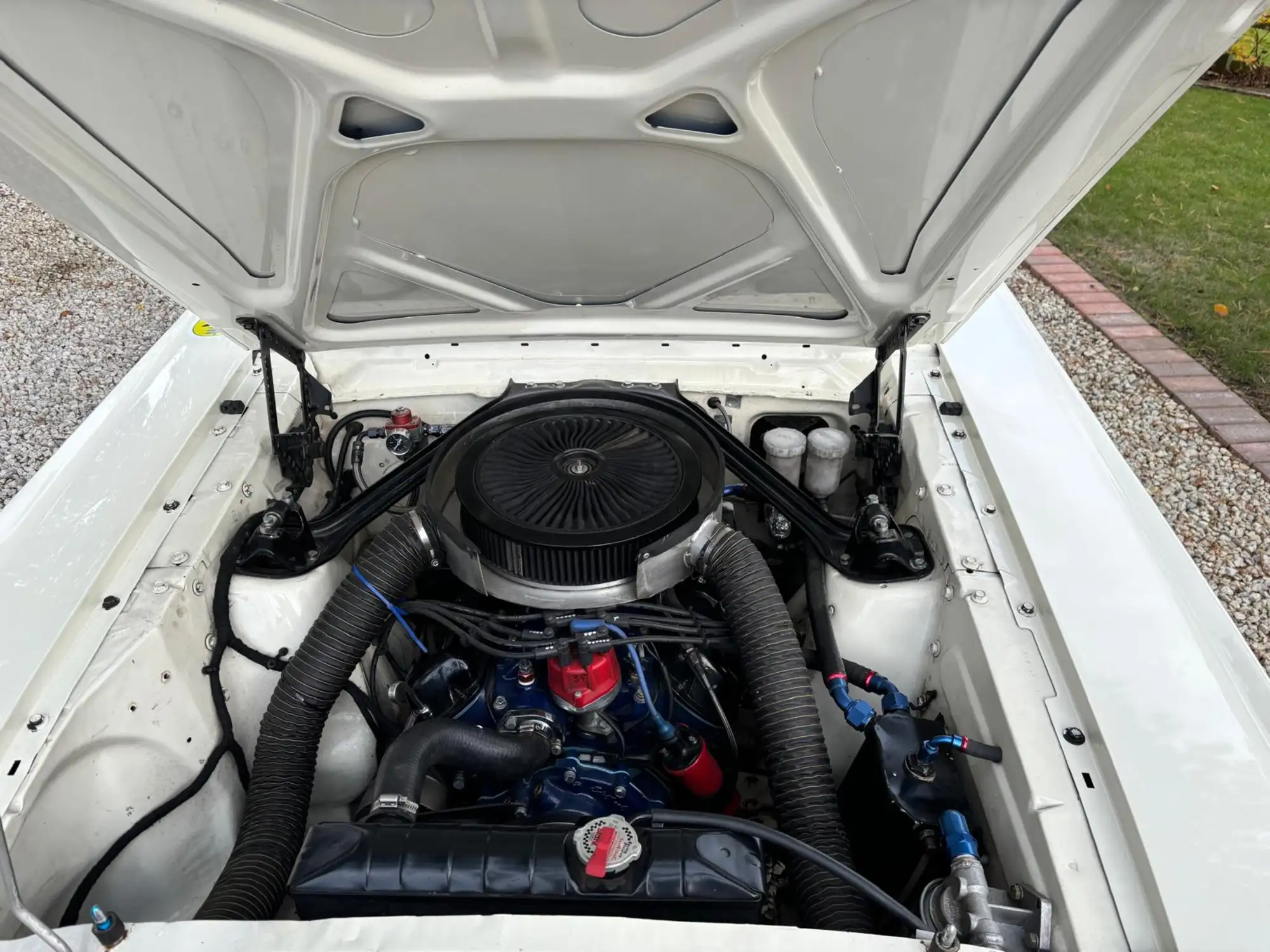 1965 Ford Mustang FIA -For Sale