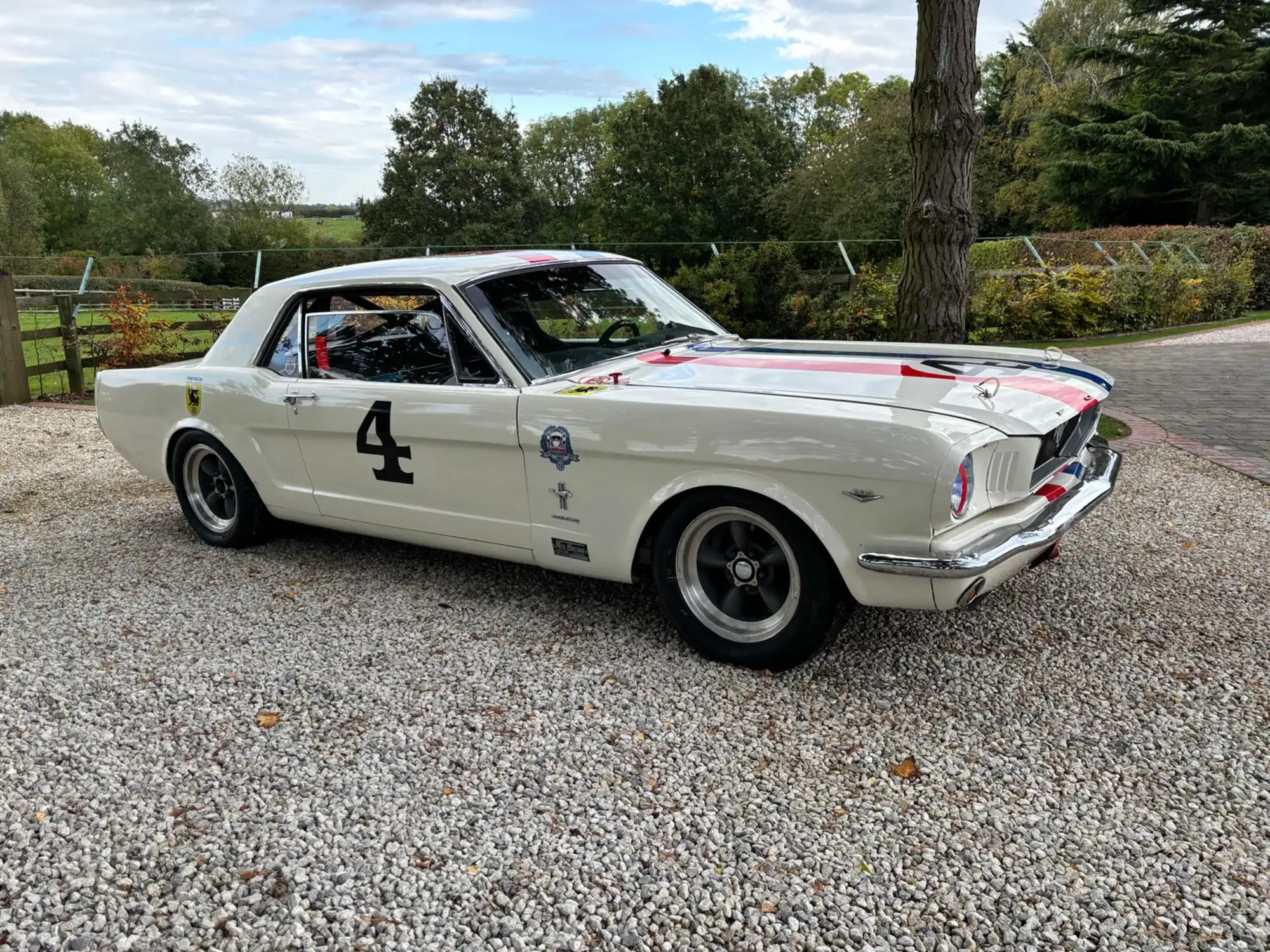 1965 Ford Mustang FIA -For Sale
