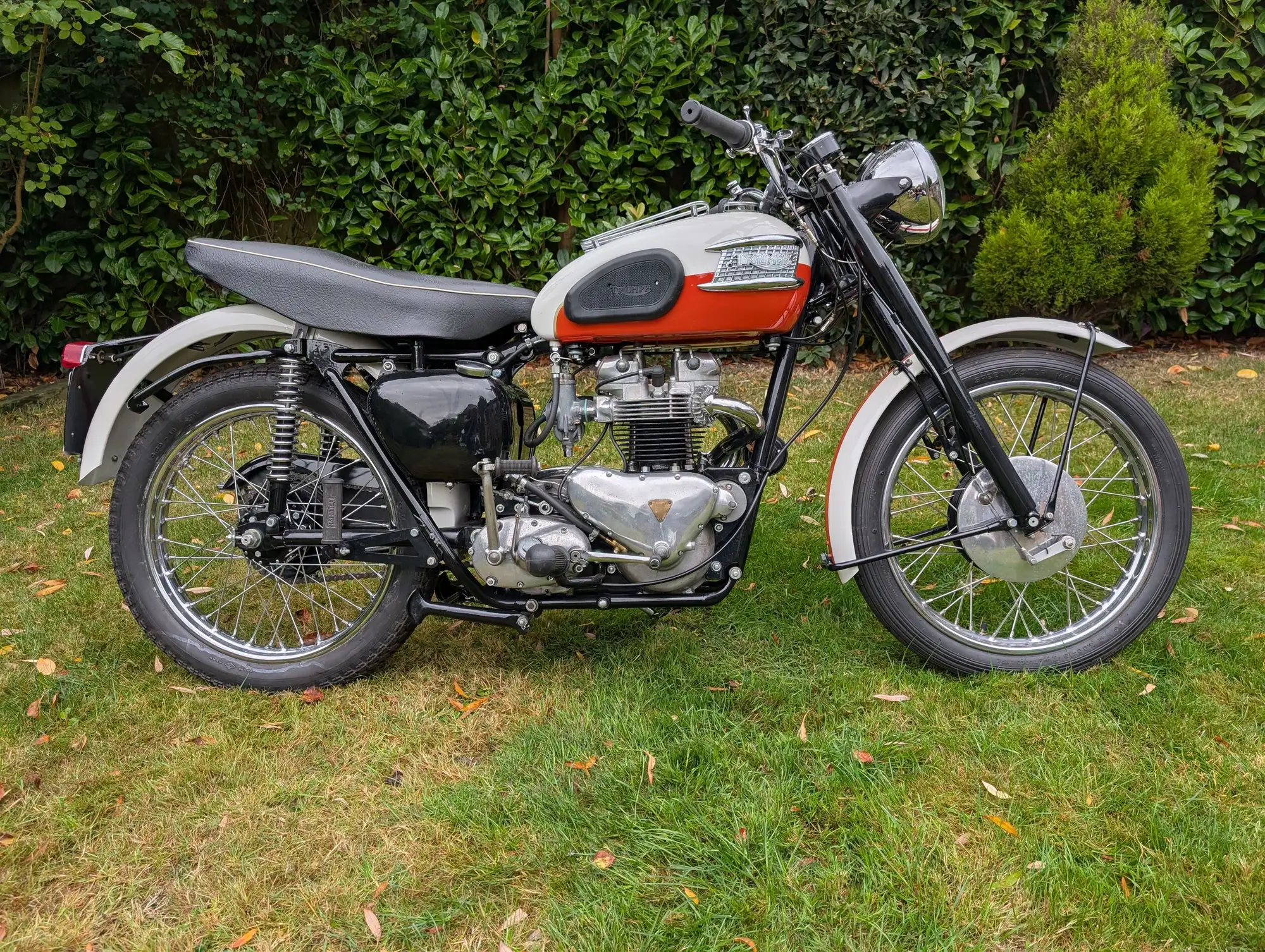 1956 Triumph TR6 Trophy 649cc-Sold
