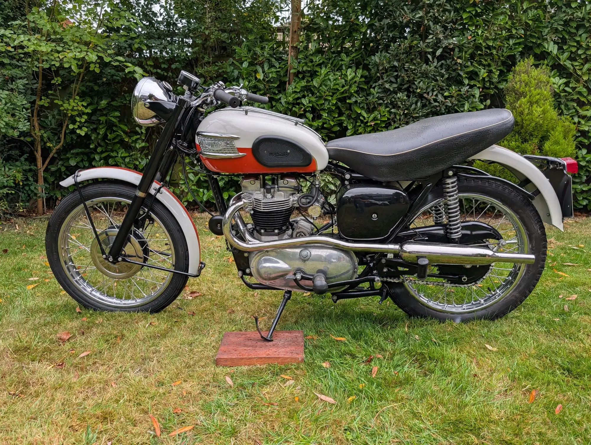 1956 Triumph TR6 Trophy 649cc-Sold