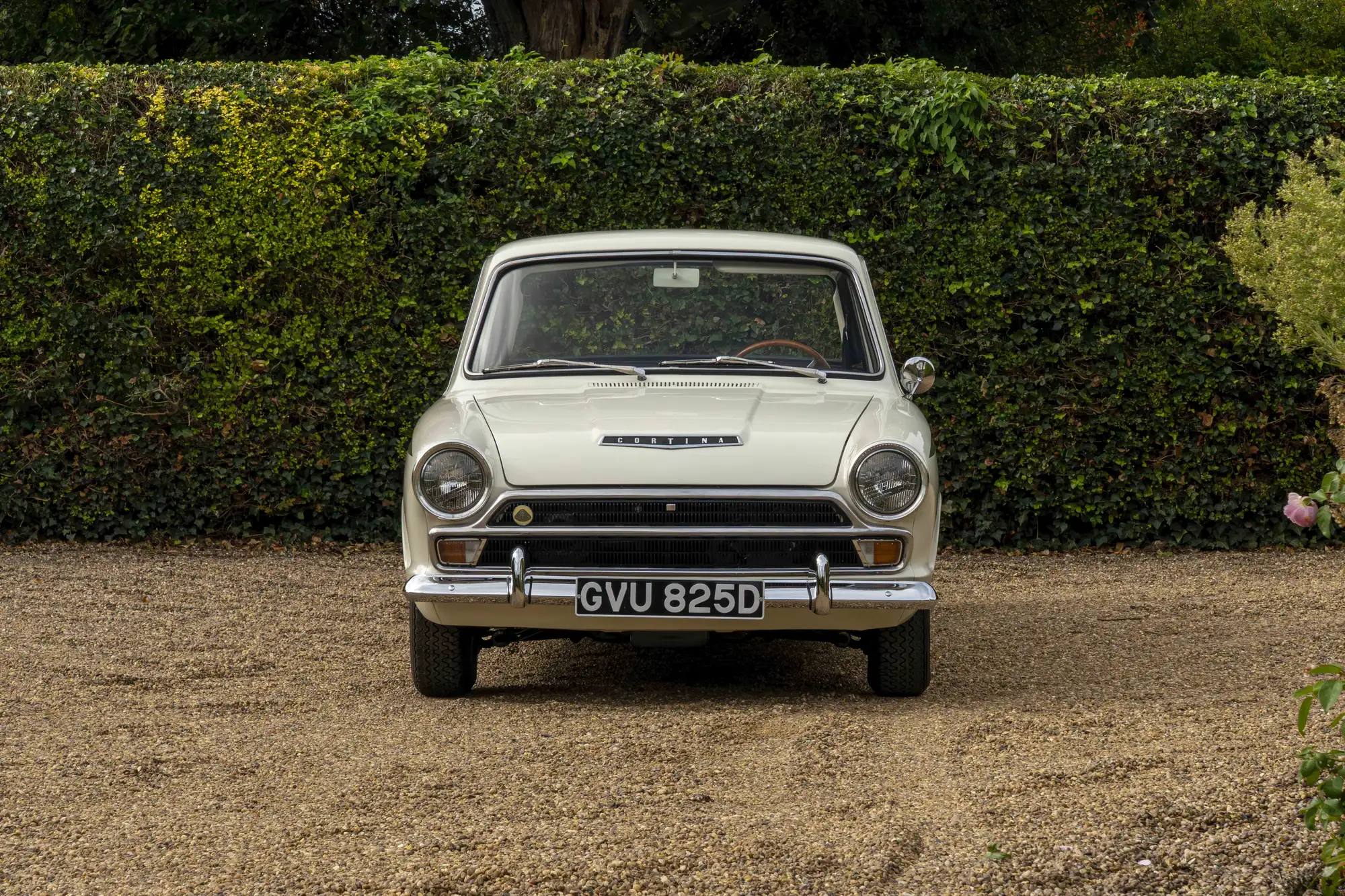 1965 Ford Lotus Cortina Mk1-For Sale