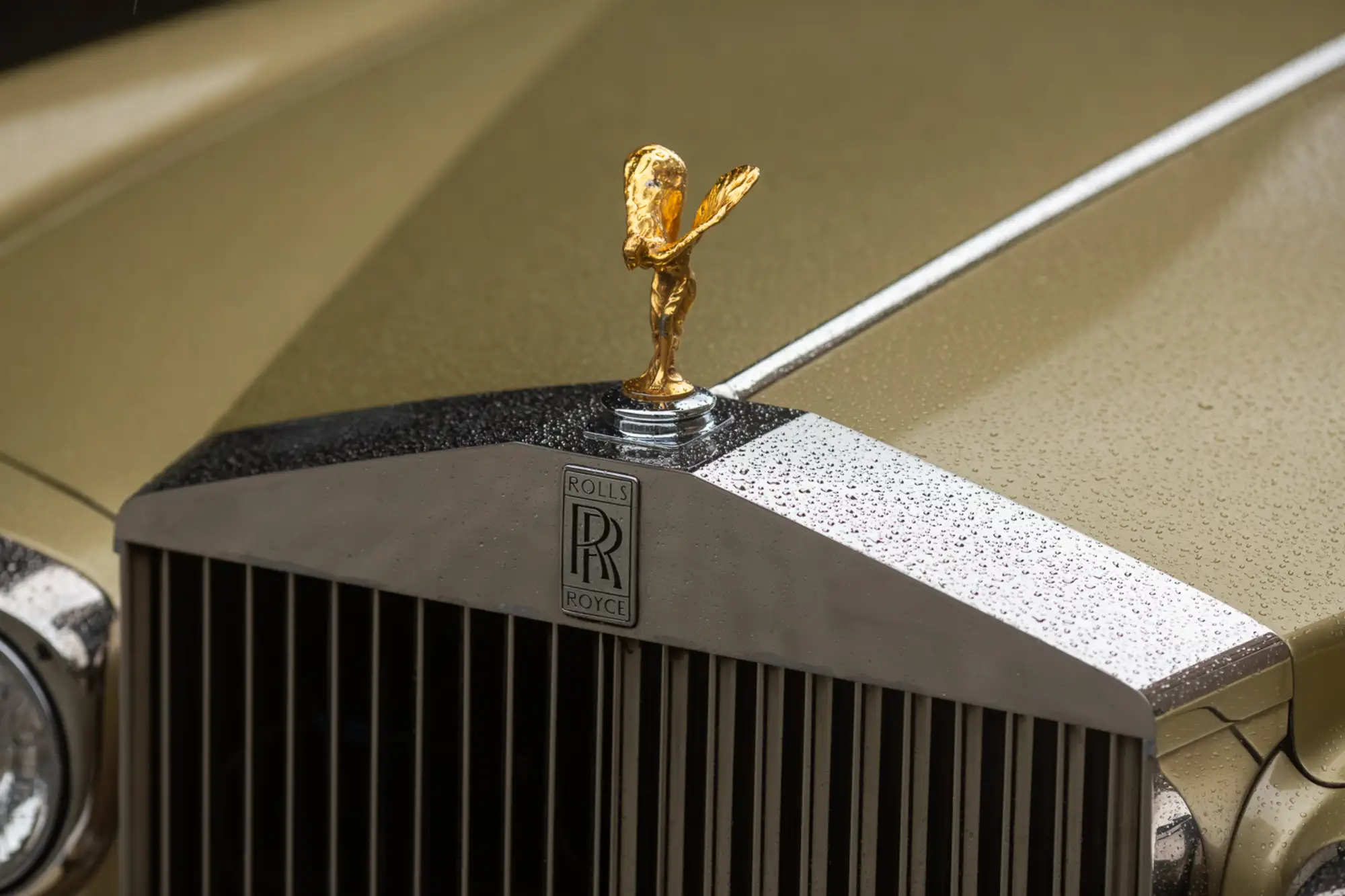 1980 Rolls-Royce Silver Shadow II-For Sale