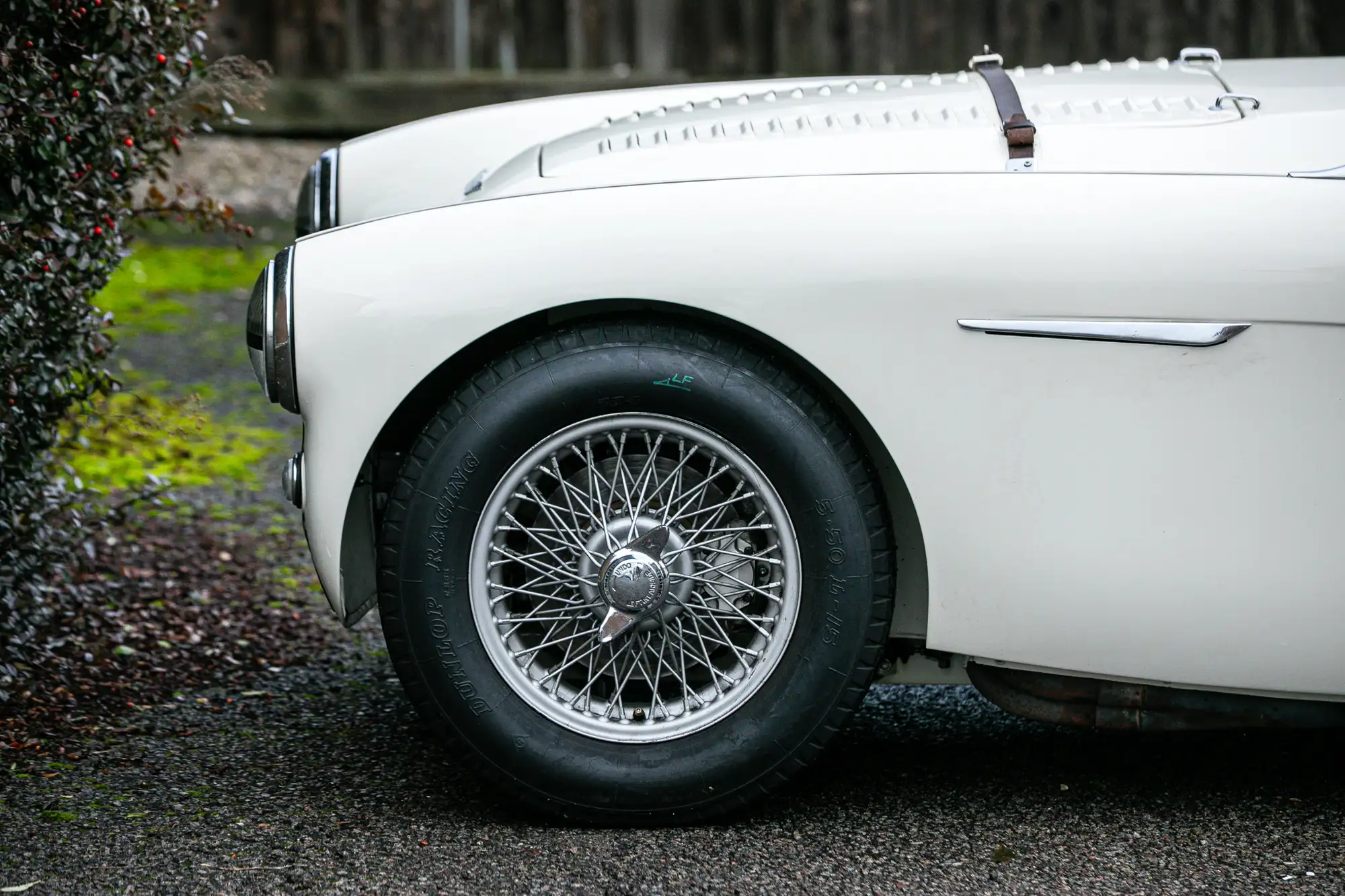 1956 Austin-Healey 100 BN2 (FIA)-Sold