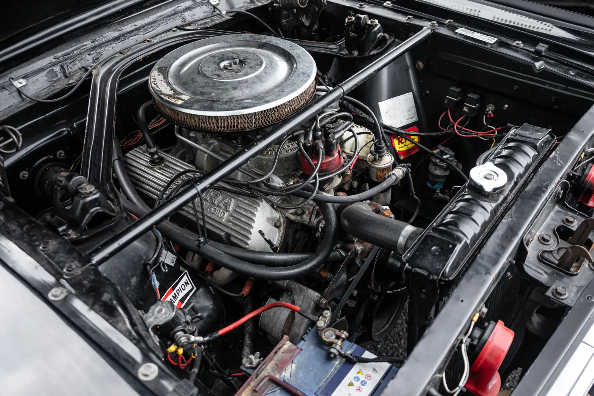 1966 Shelby Mustang GT350 Hertz-For Sale