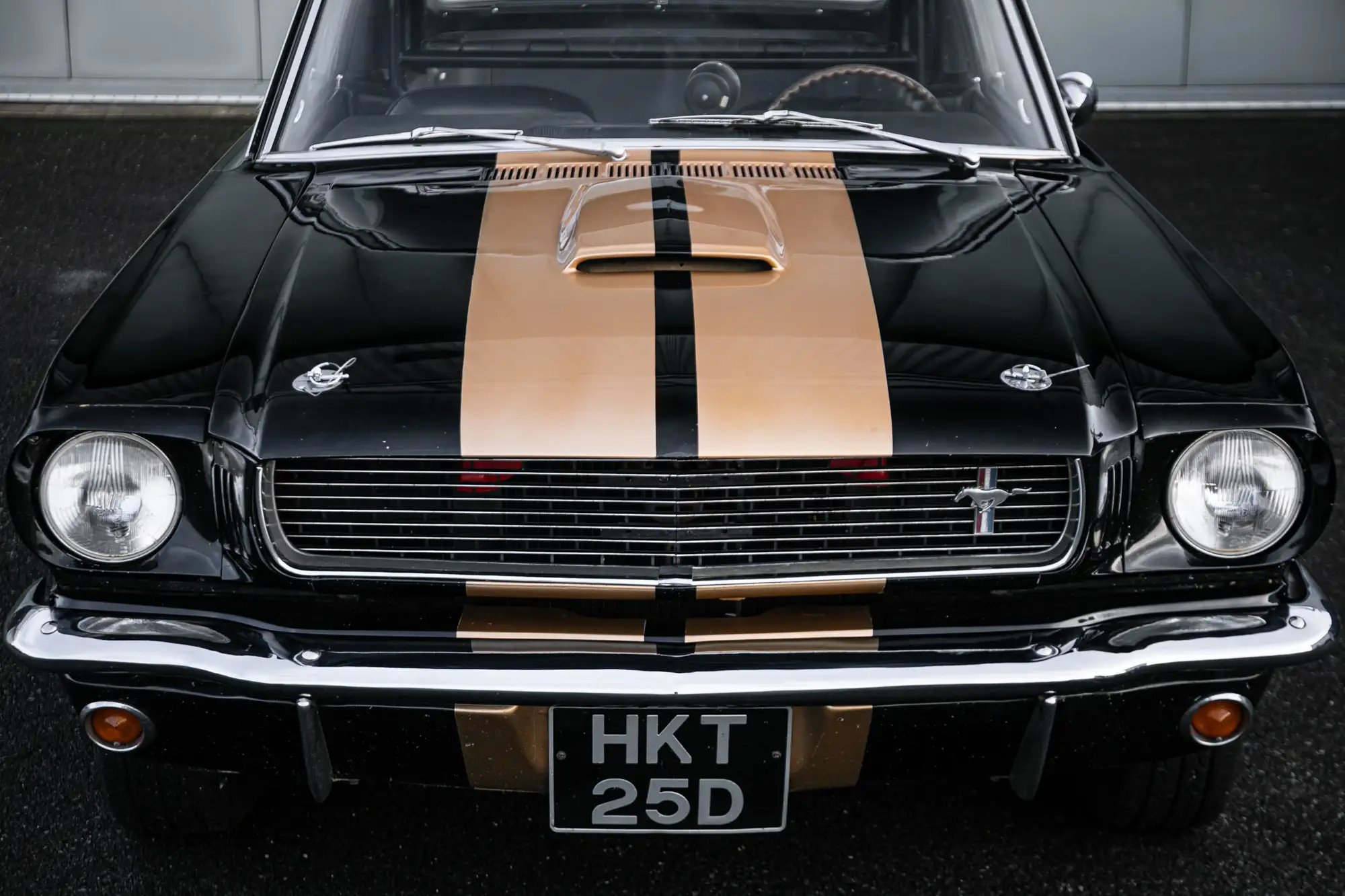 1966 Shelby Mustang GT350 Hertz-For Sale