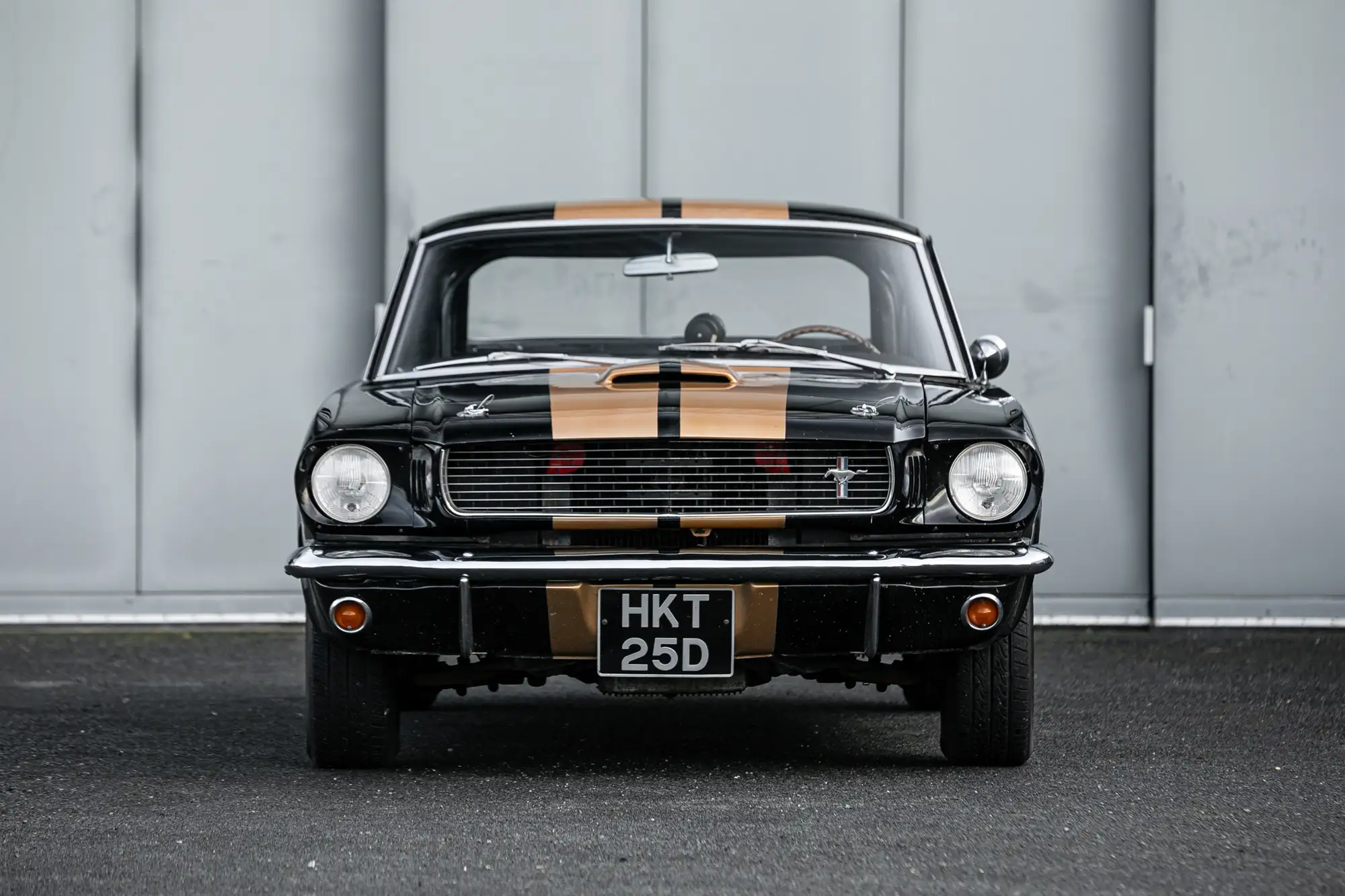 1966 Shelby Mustang GT350 Hertz-For Sale
