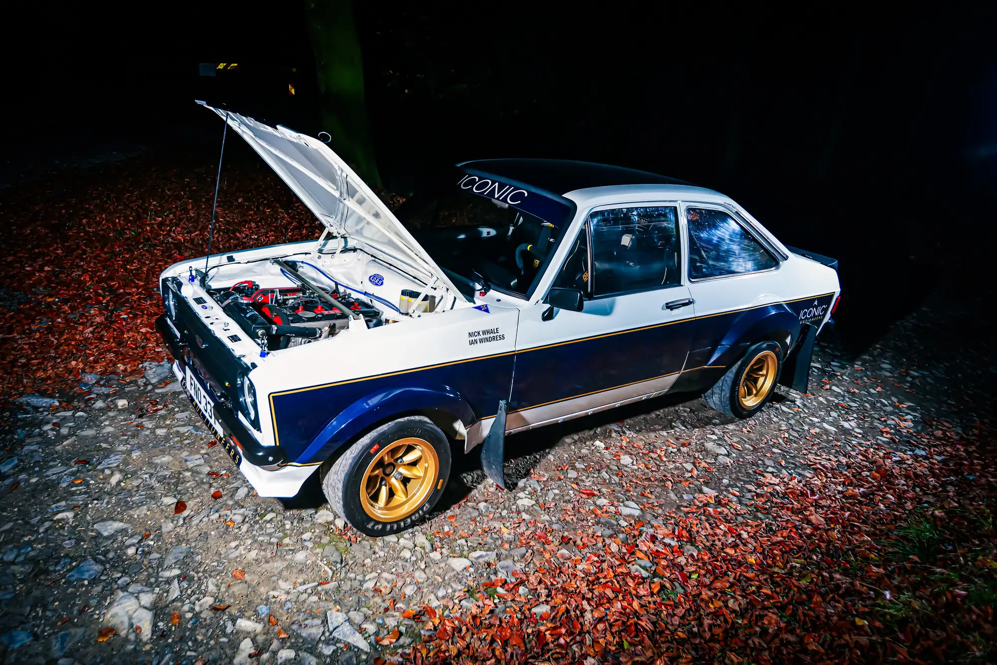 1979 Ford Escort RS1800 FIA Group 4 Tarmac Rally Car-For Sale