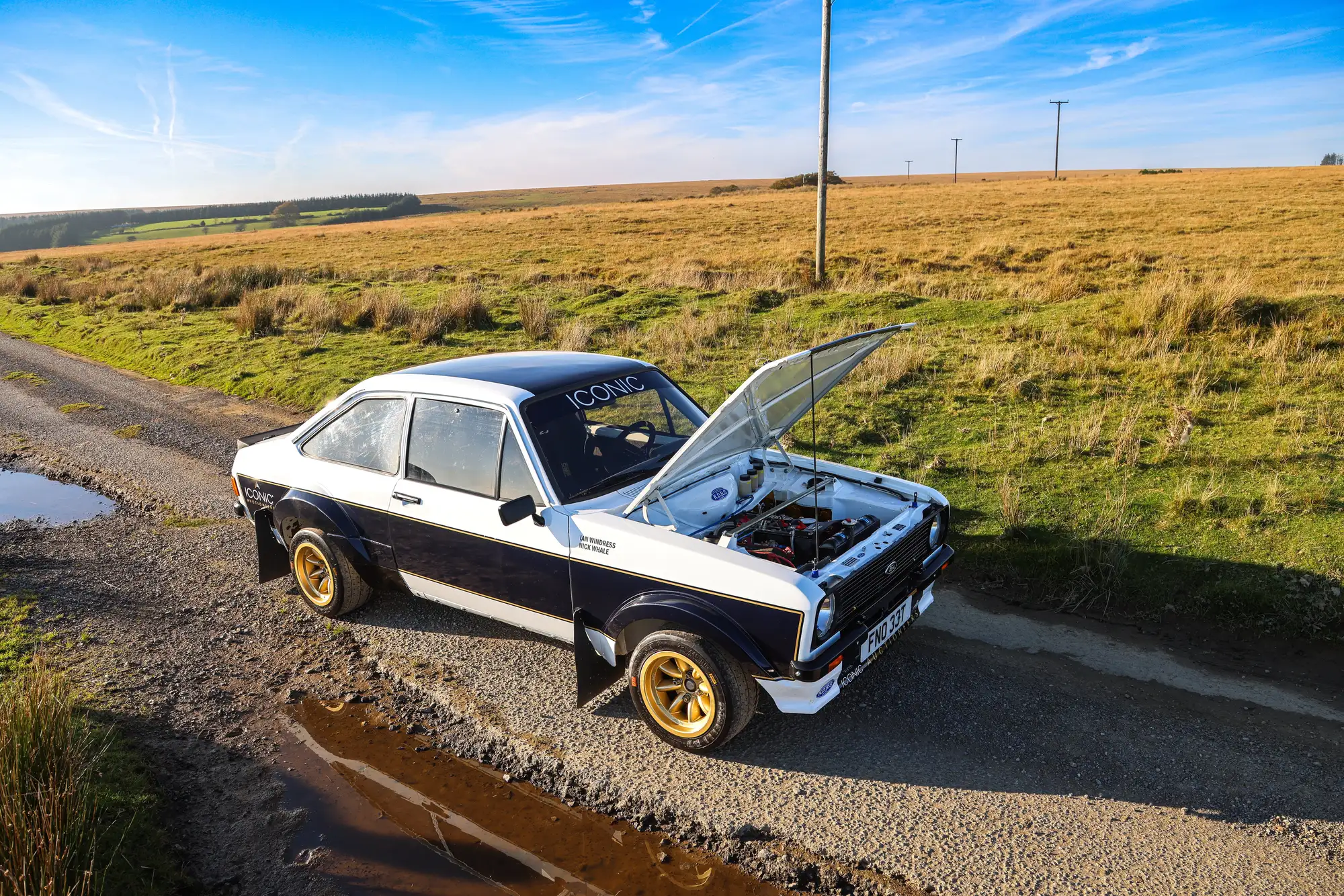1979 Ford Escort RS1800 FIA Group 4 Tarmac Rally Car-For Sale