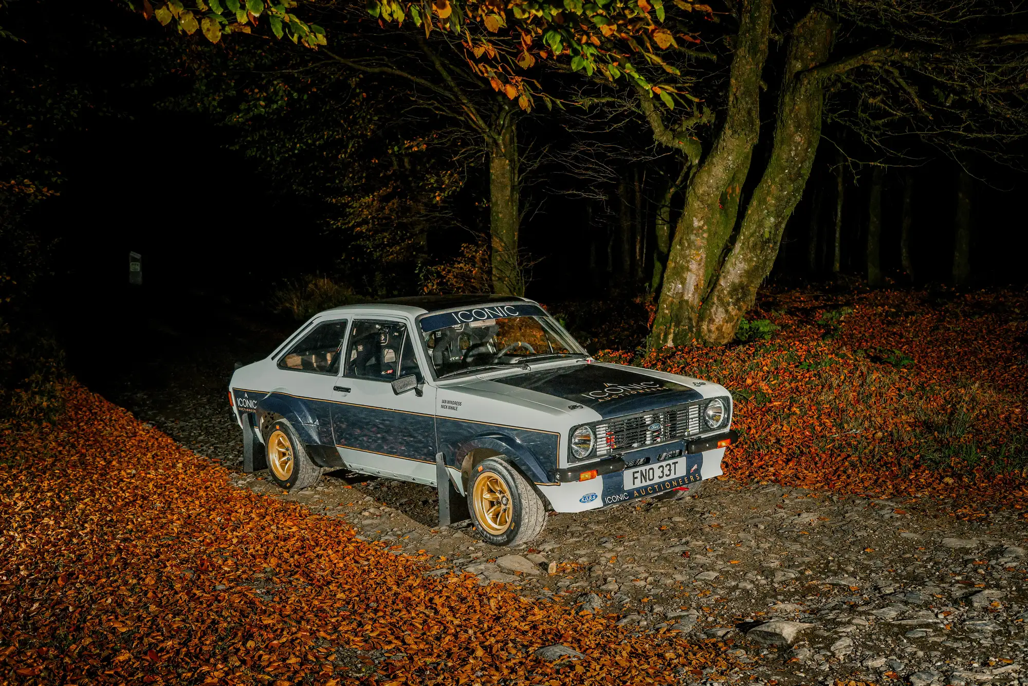 1979 Ford Escort RS1800 FIA Group 4 Tarmac Rally Car-For Sale