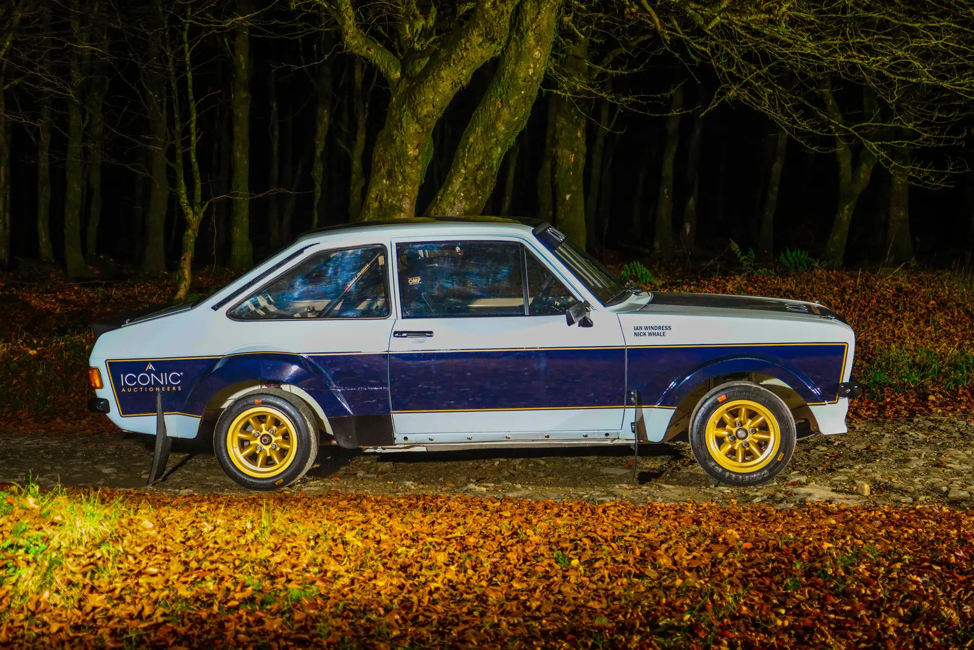 1979 Ford Escort RS1800 FIA Group 4 Tarmac Rally Car-For Sale