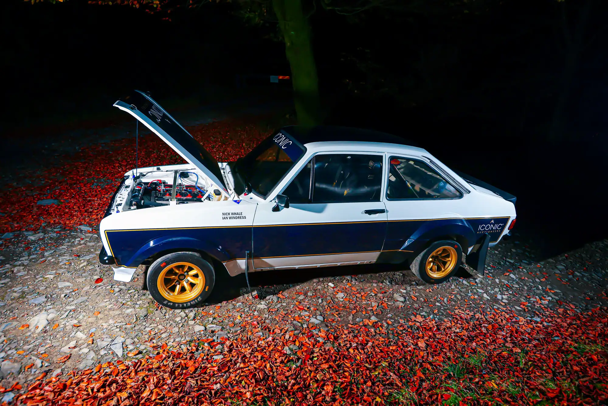 1979 Ford Escort RS1800 FIA Group 4 Tarmac Rally Car-For Sale