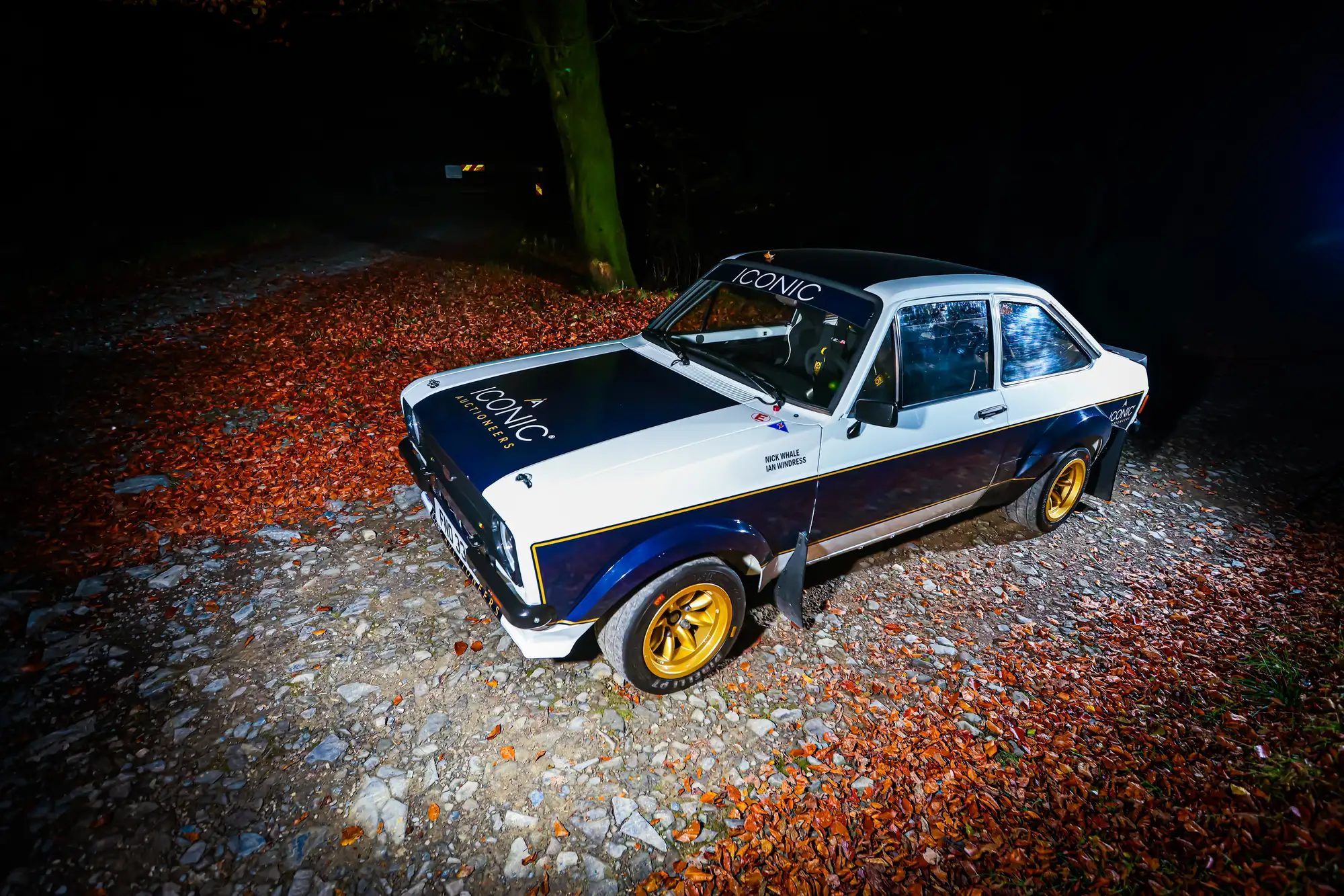 1979 Ford Escort RS1800 FIA Group 4 Tarmac Rally Car-For Sale