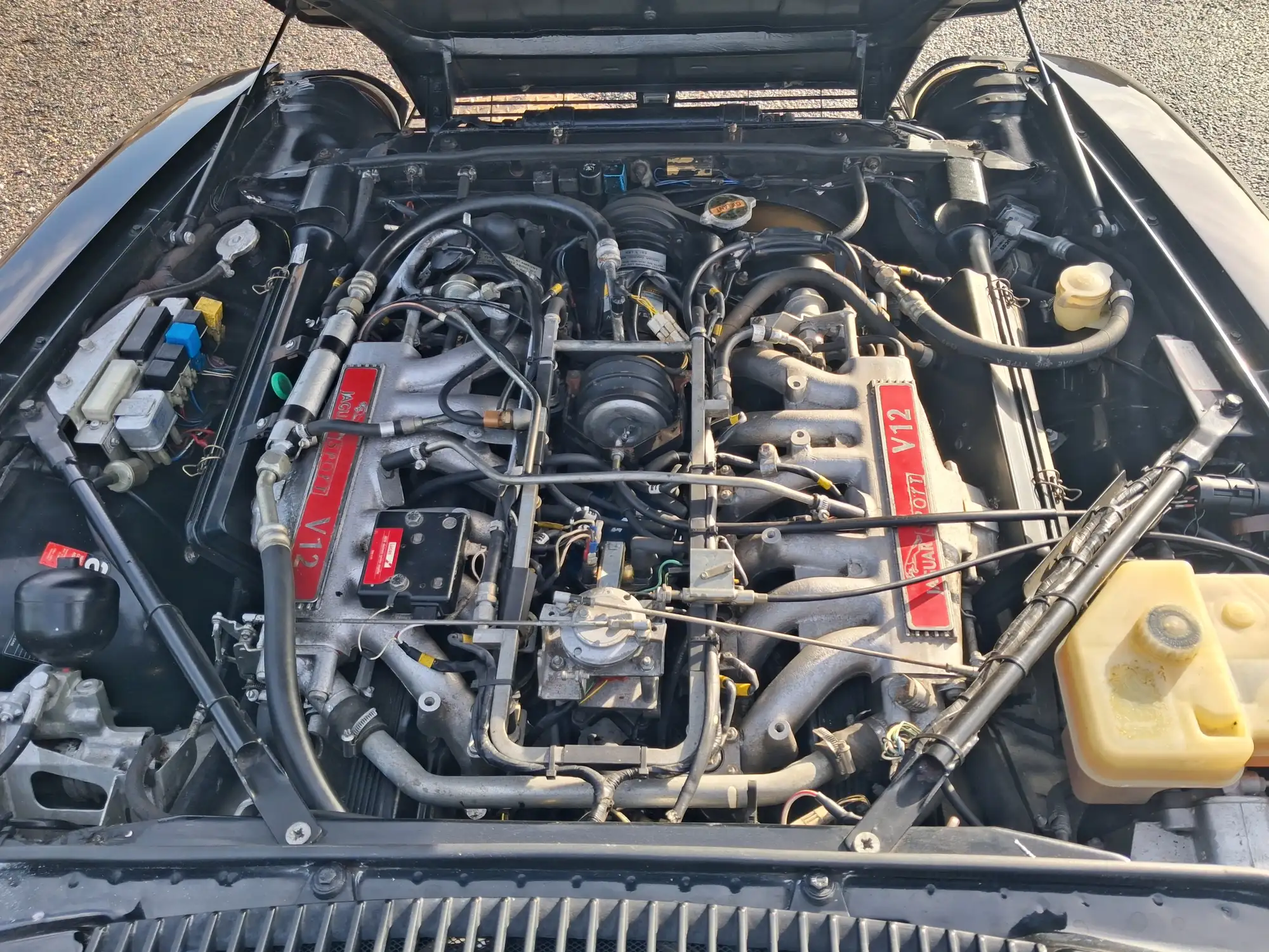 1990 JaguarSport XJR.s -For Sale