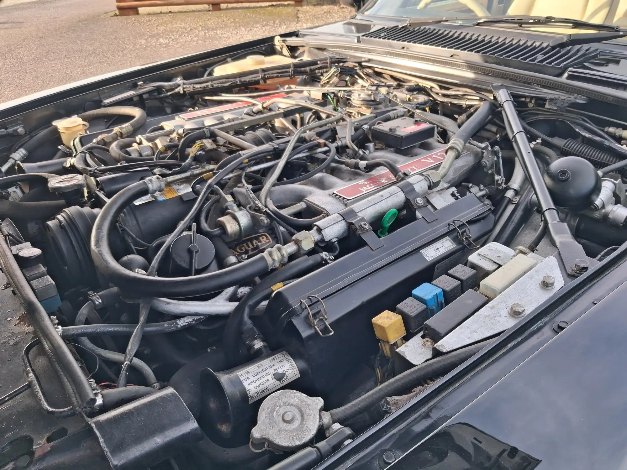 1990 JaguarSport XJR.s -For Sale