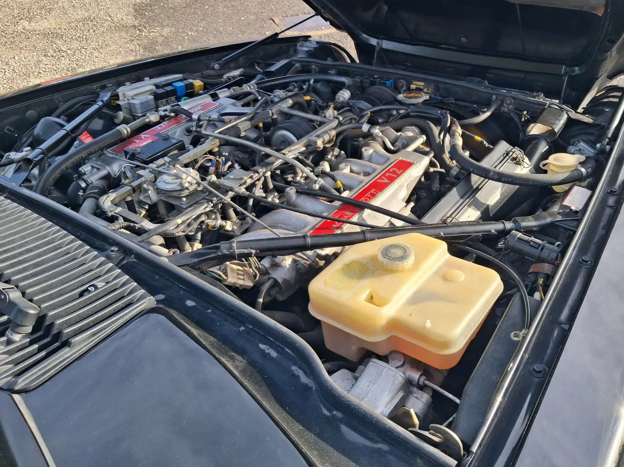 1990 JaguarSport XJR.s -For Sale