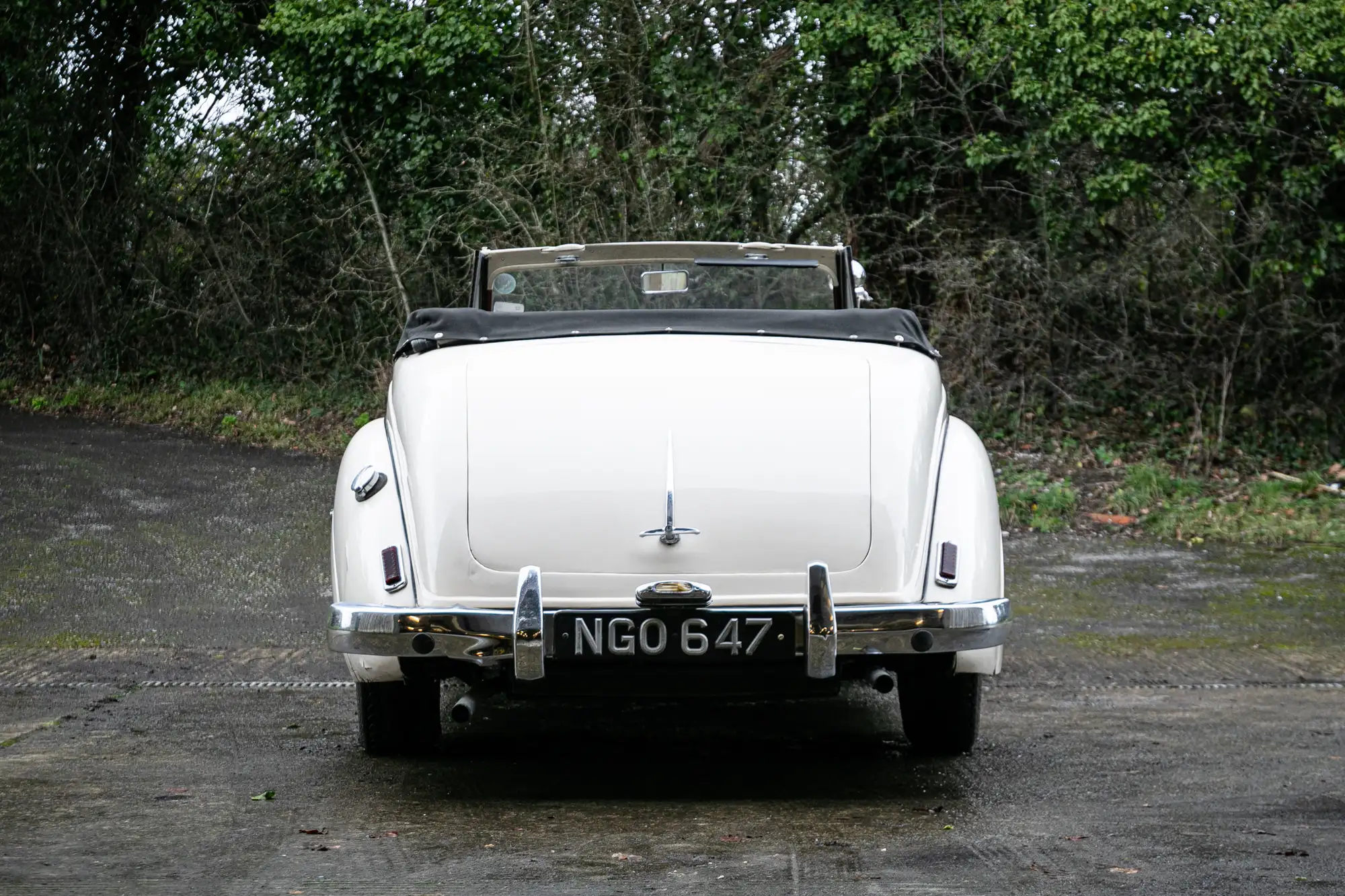 1952 Alvis TC21/100 'Grey Lady' Drophead Coupé-For Sale