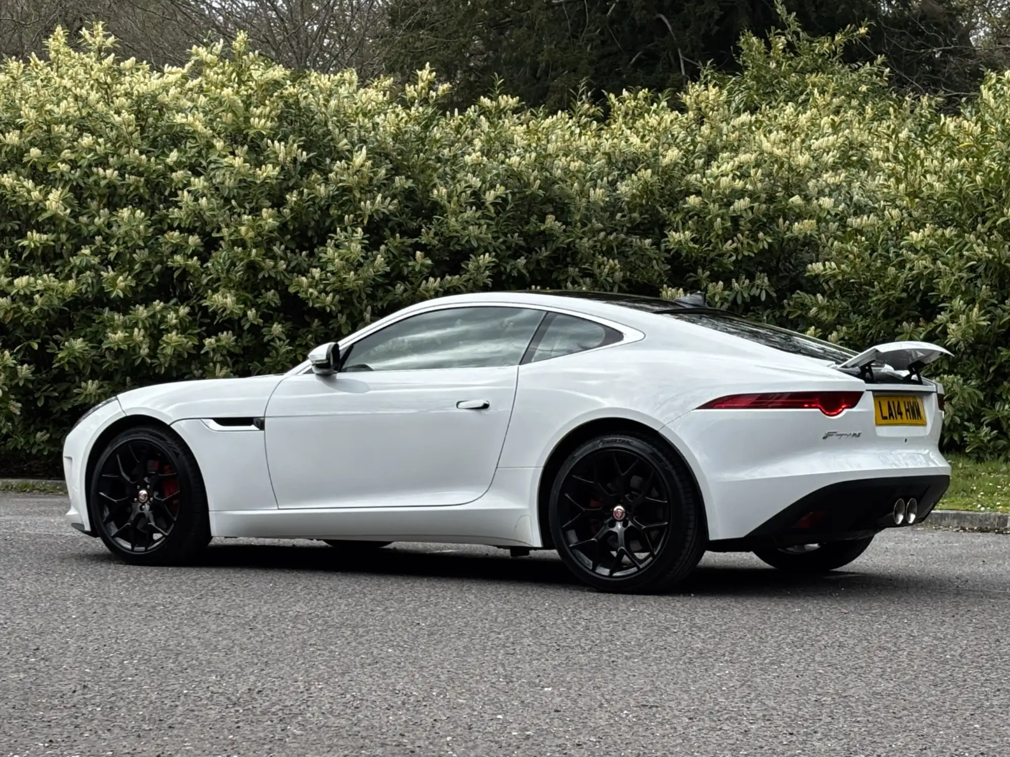 2014 Jaguar F-Type 3.0 V6S-For Sale