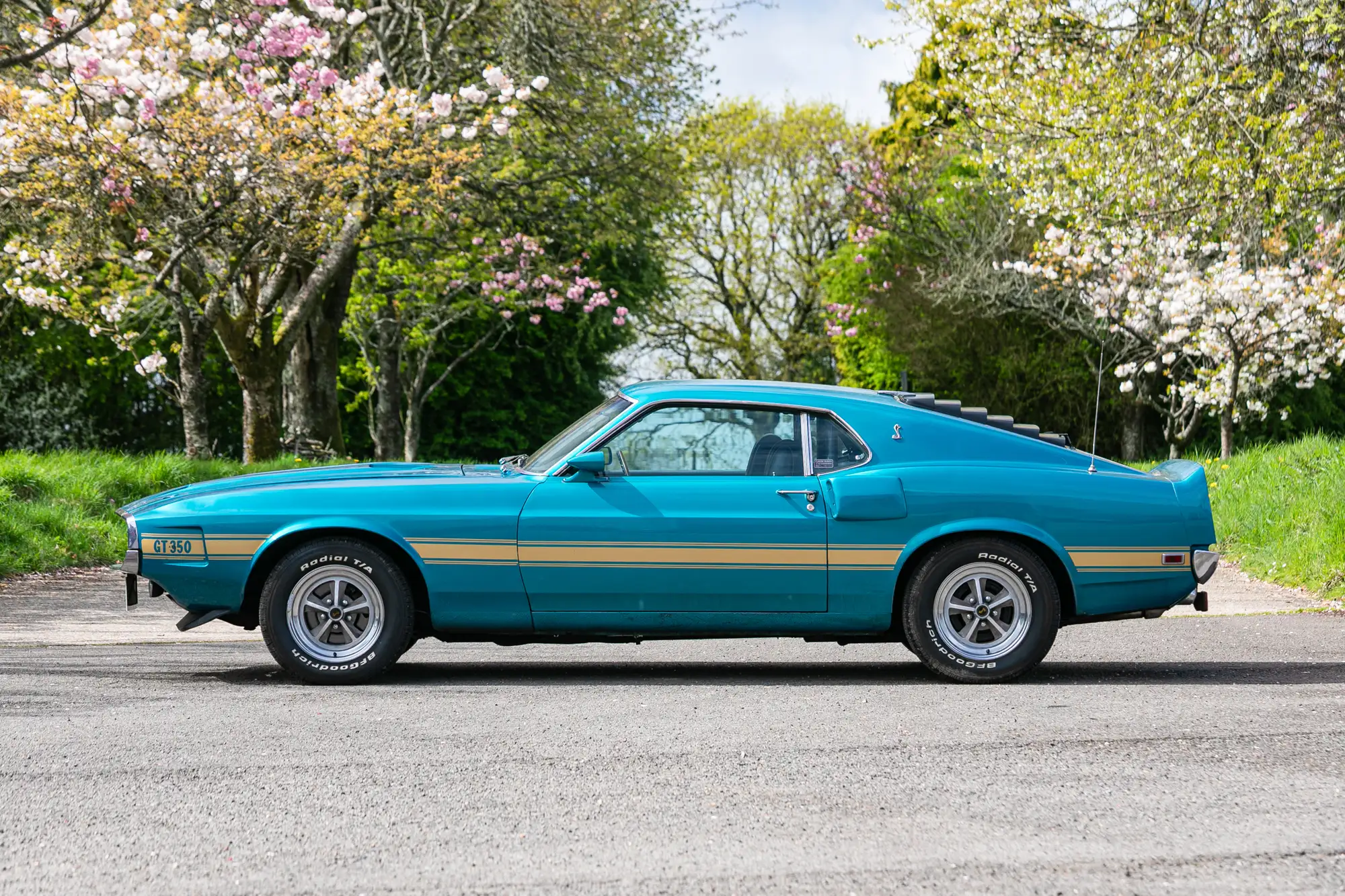 1969 Ford Shelby Mustang GT350 Fastback-For Sale