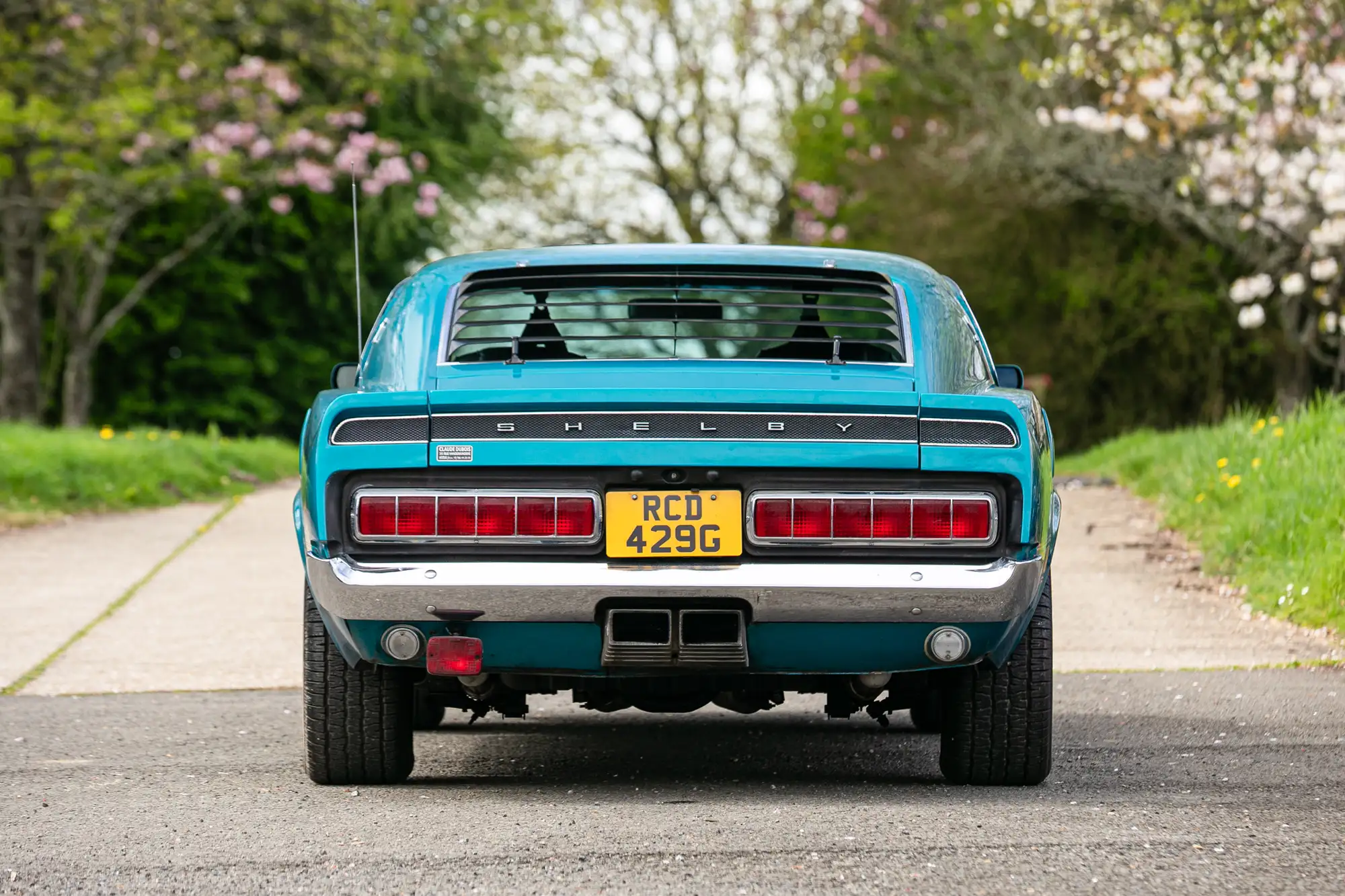 1969 Ford Shelby Mustang GT350 Fastback-For Sale