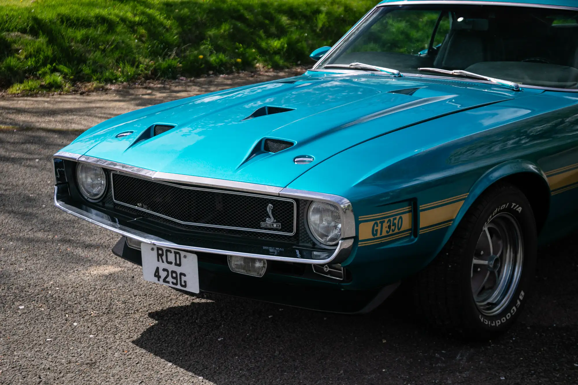 1969 Ford Shelby Mustang GT350 Fastback-For Sale