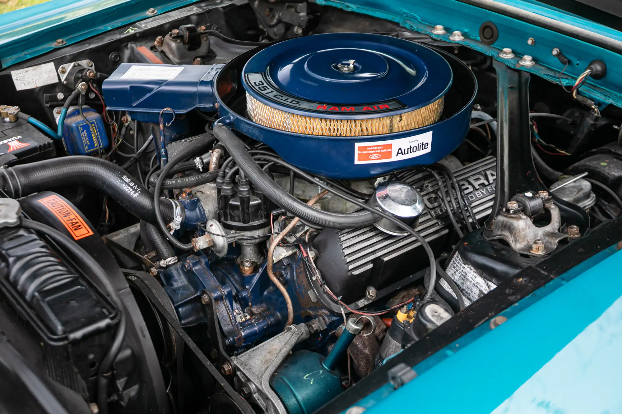 1969 Ford Shelby Mustang GT350 Fastback-For Sale