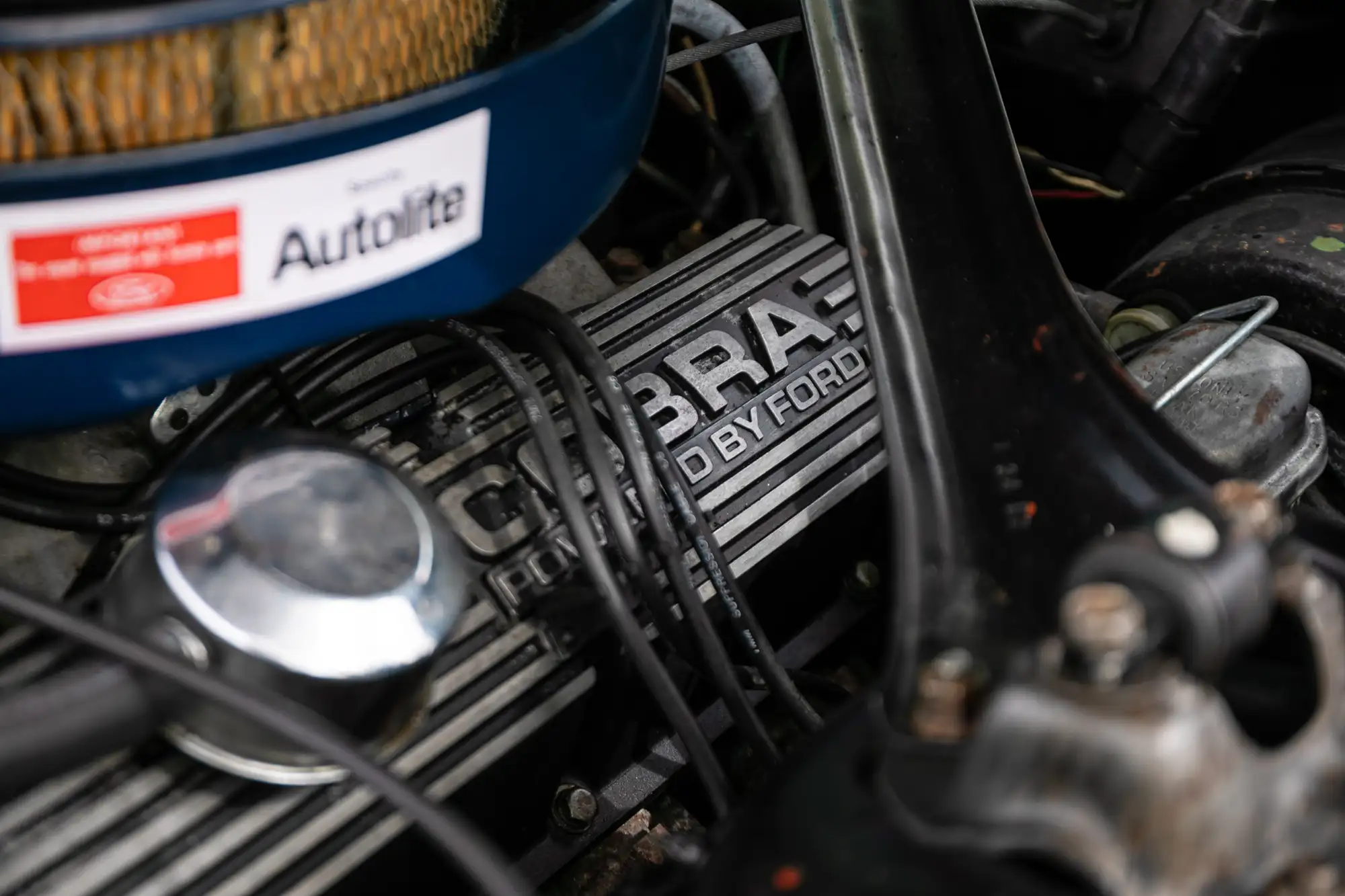 1969 Ford Shelby Mustang GT350 Fastback-For Sale