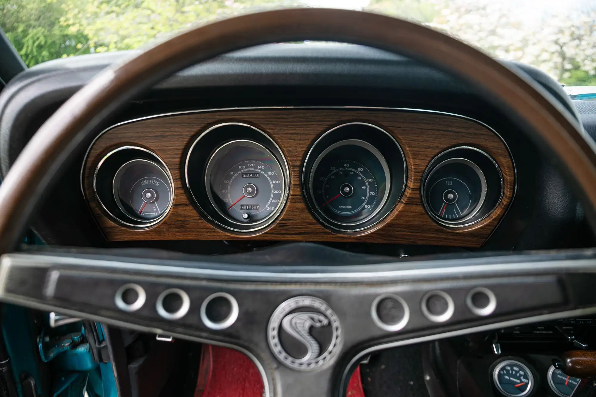 1969 Ford Shelby Mustang GT350 Fastback-For Sale
