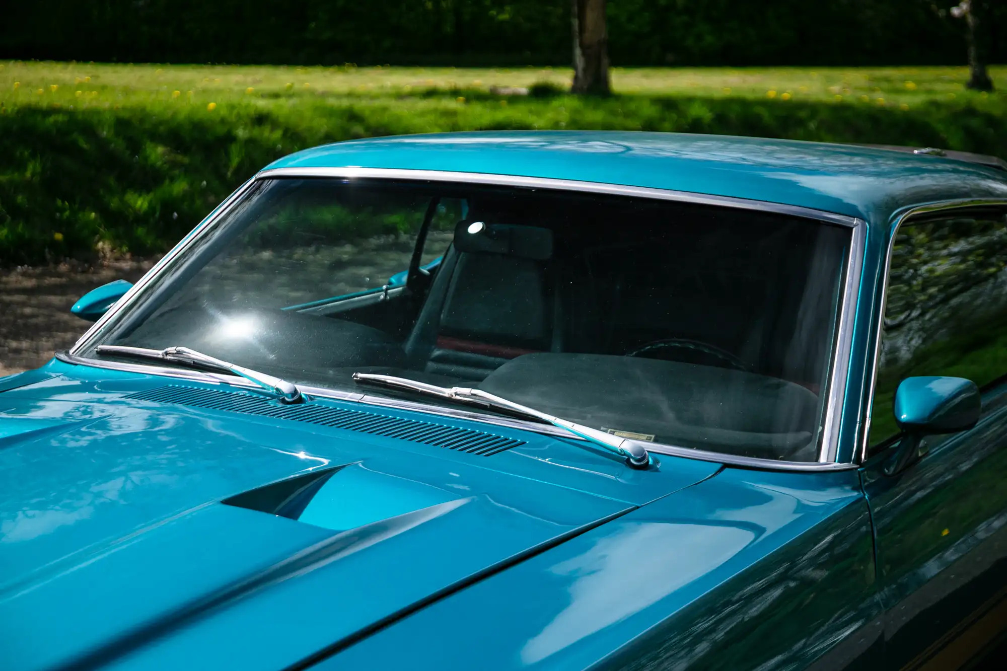 1969 Ford Shelby Mustang GT350 Fastback-For Sale