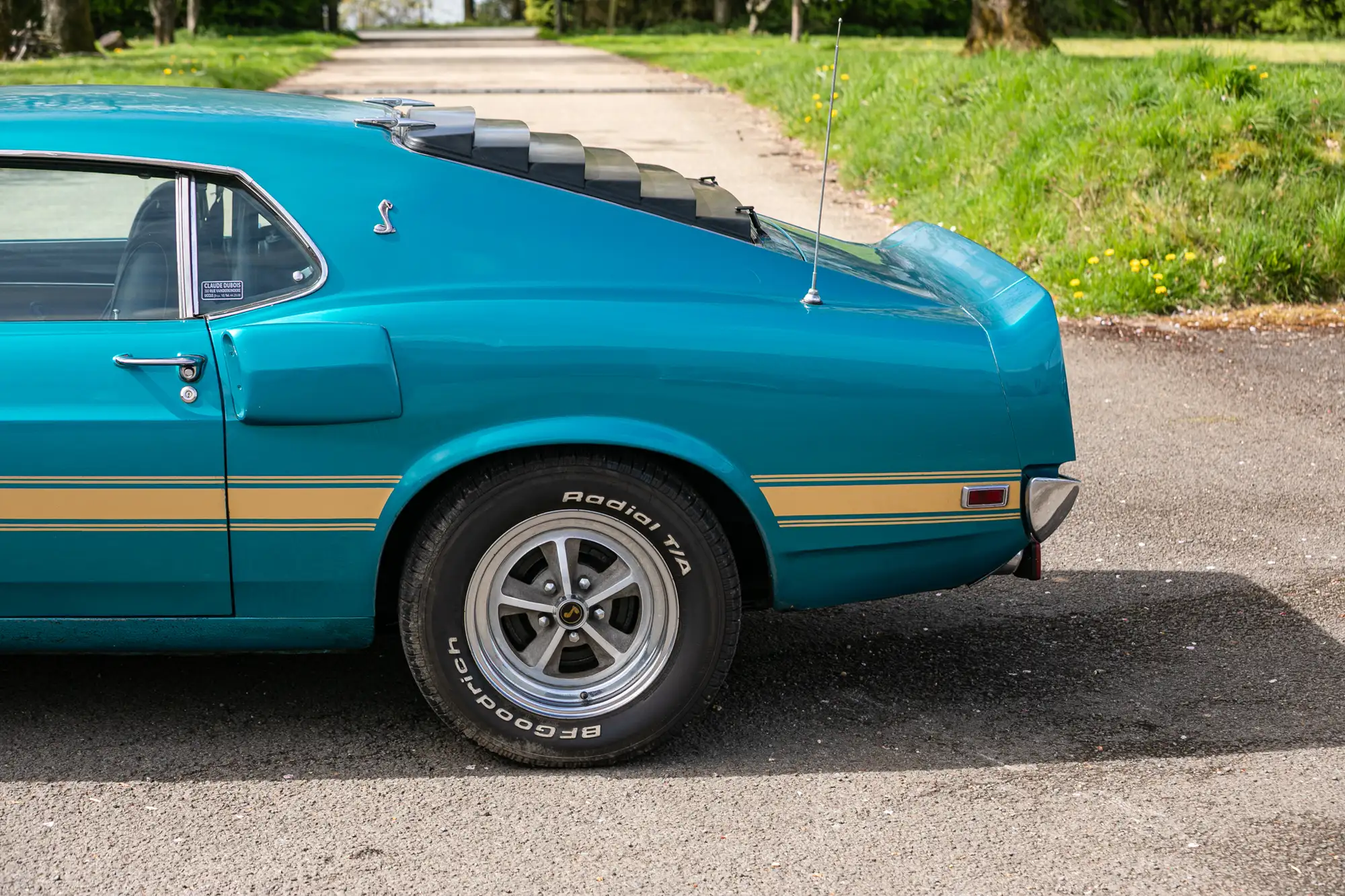 1969 Ford Shelby Mustang GT350 Fastback-For Sale